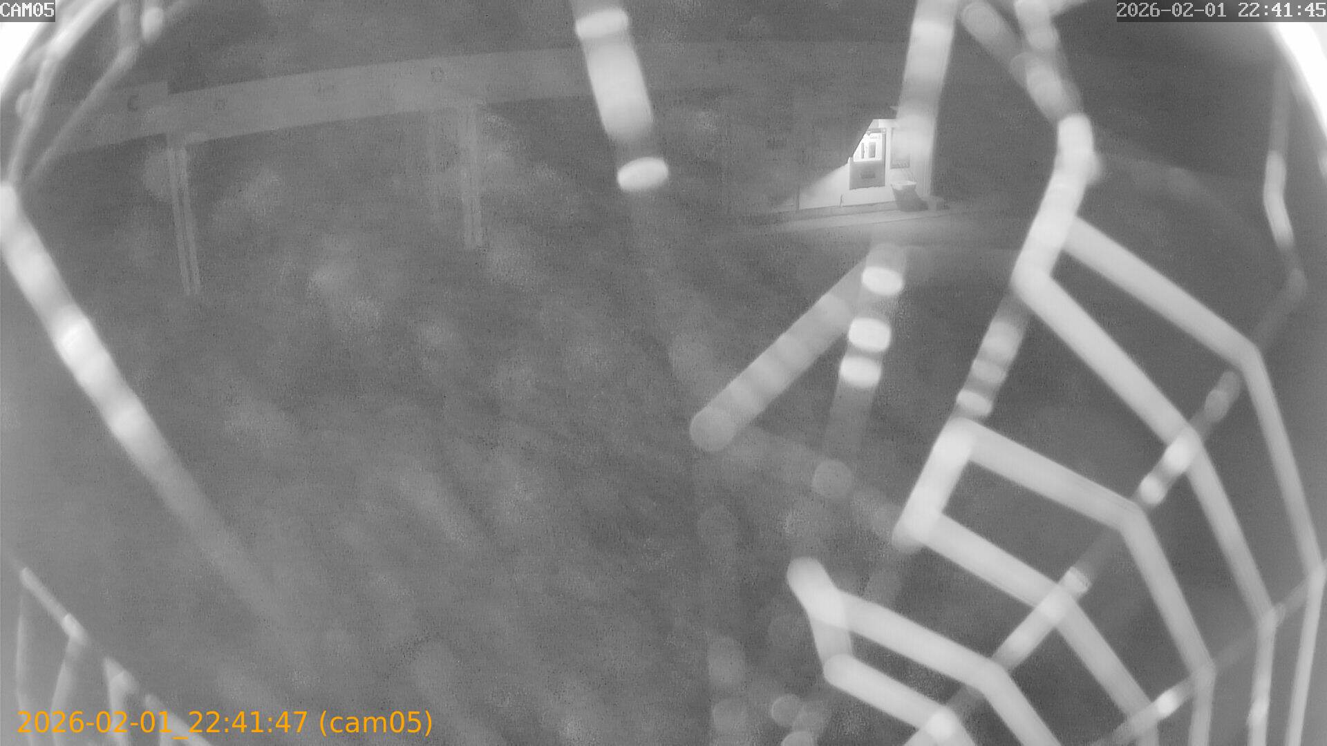 thumbnail_20260201224147