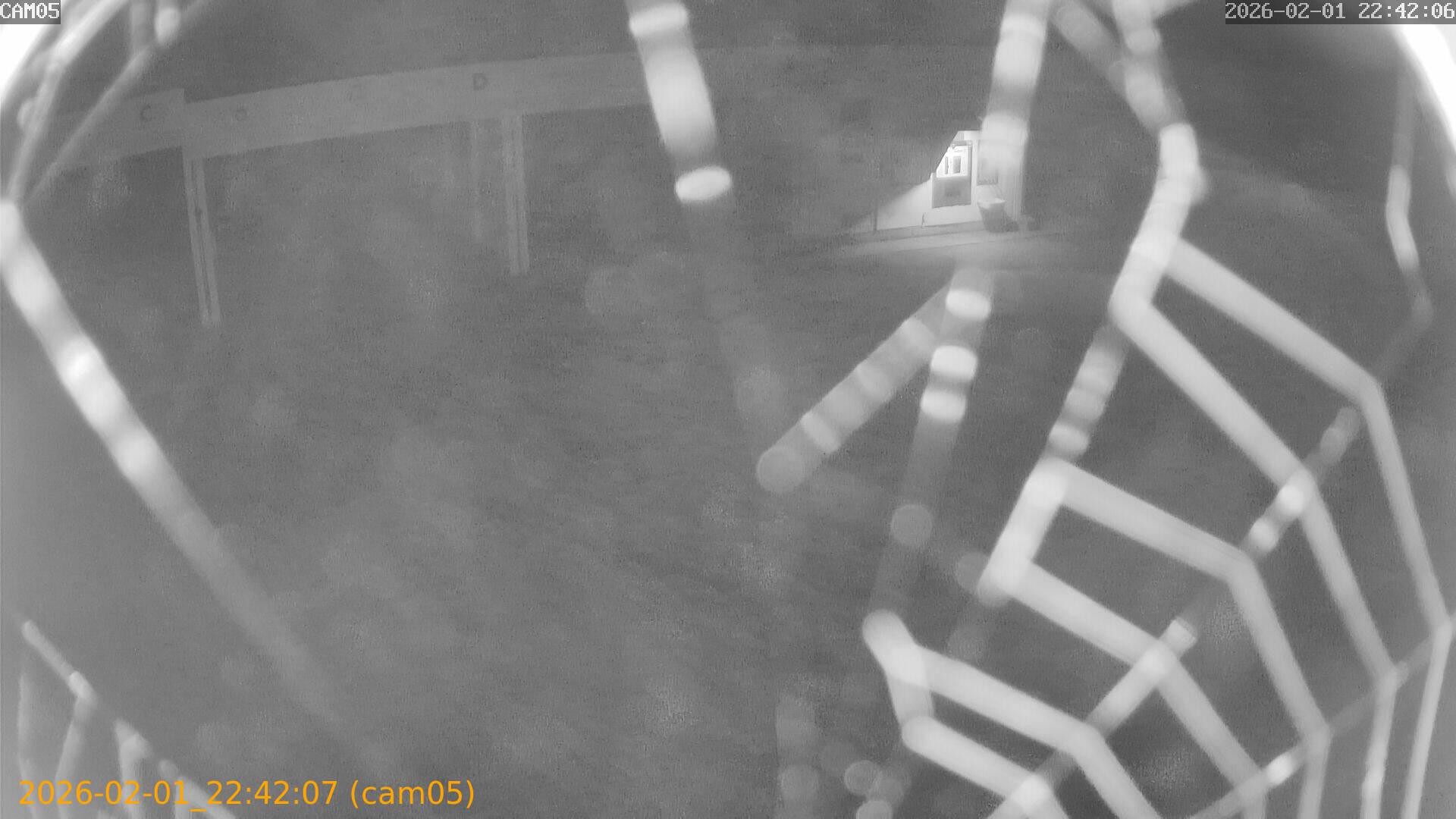 thumbnail_20260201224207