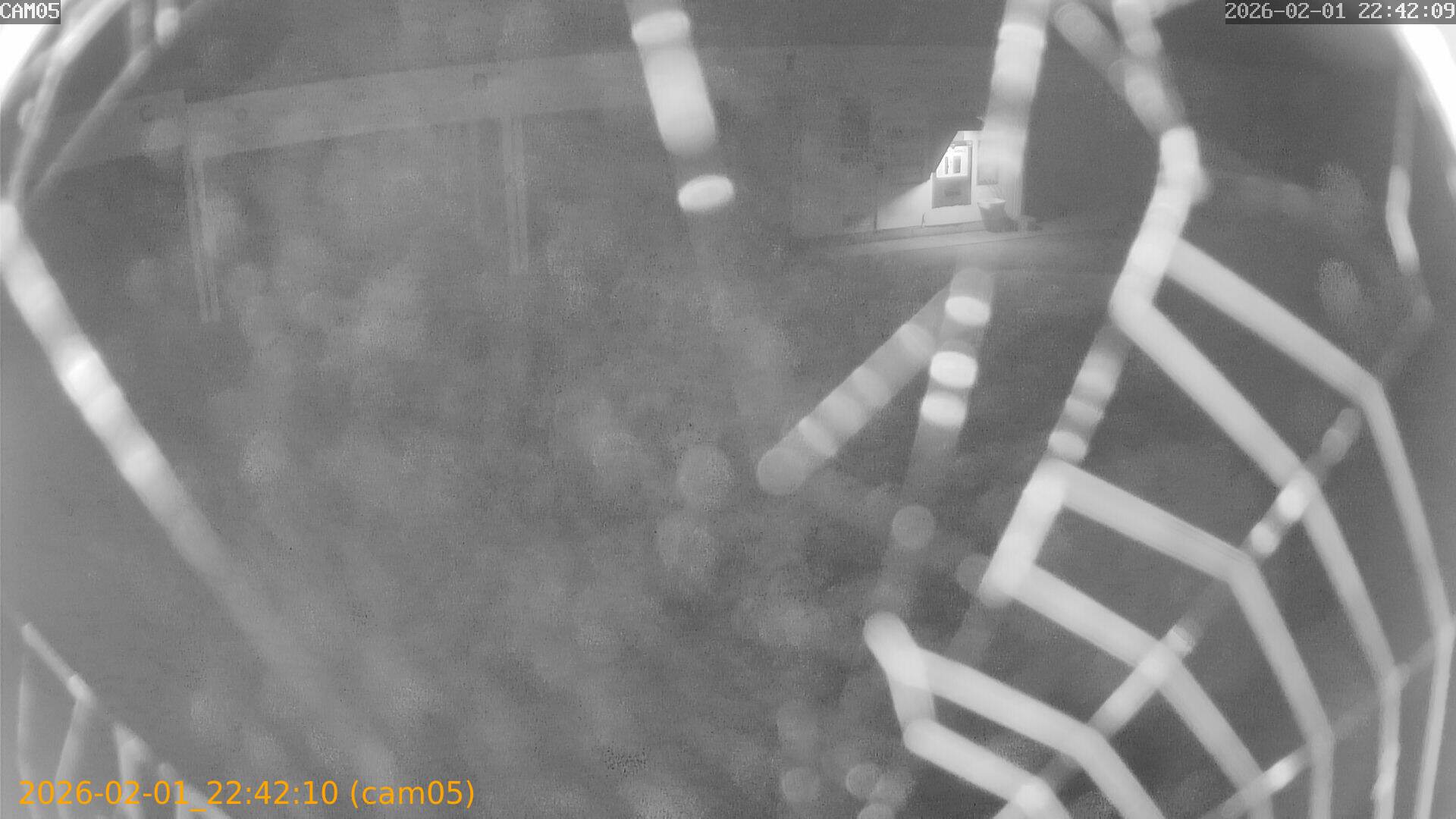 thumbnail_20260201224210