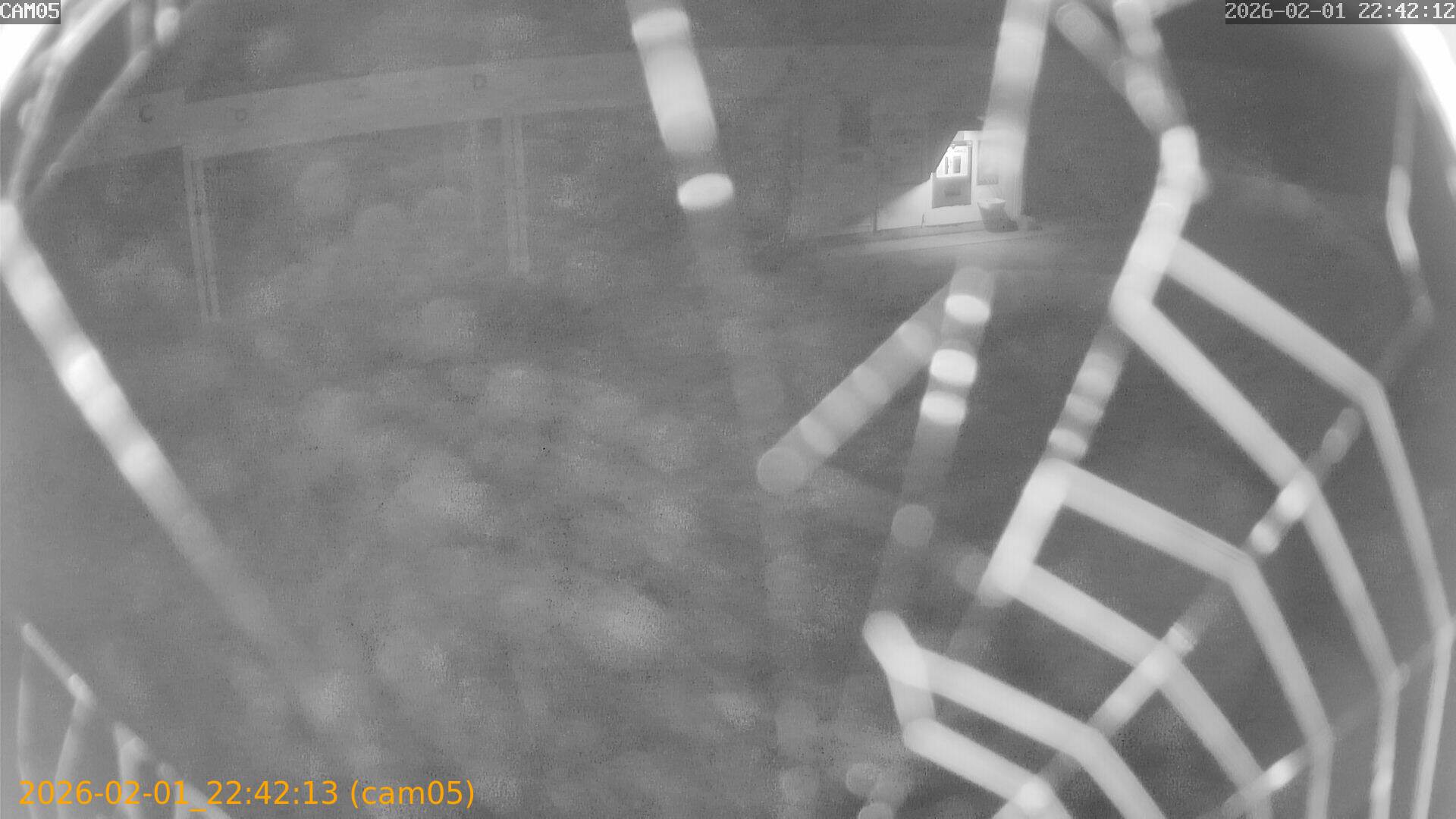 thumbnail_20260201224213