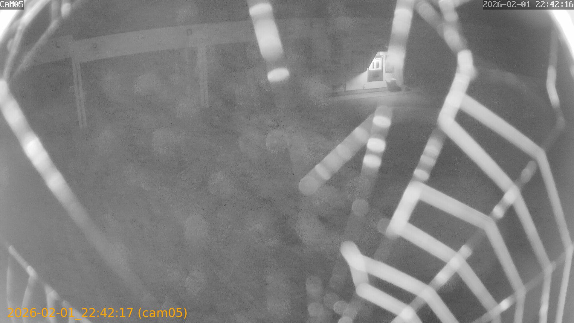 thumbnail_20260201224217