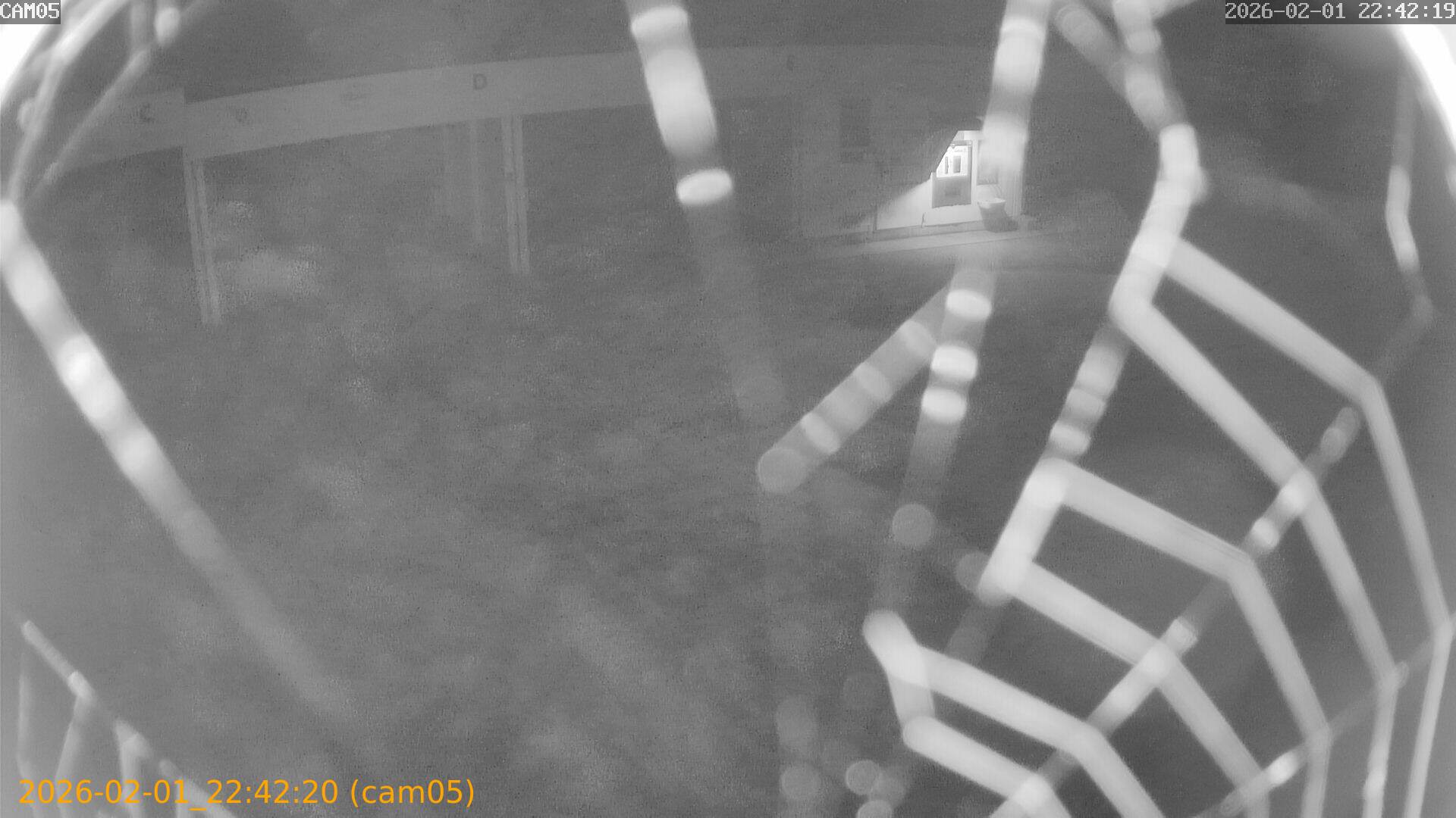 thumbnail_20260201224220