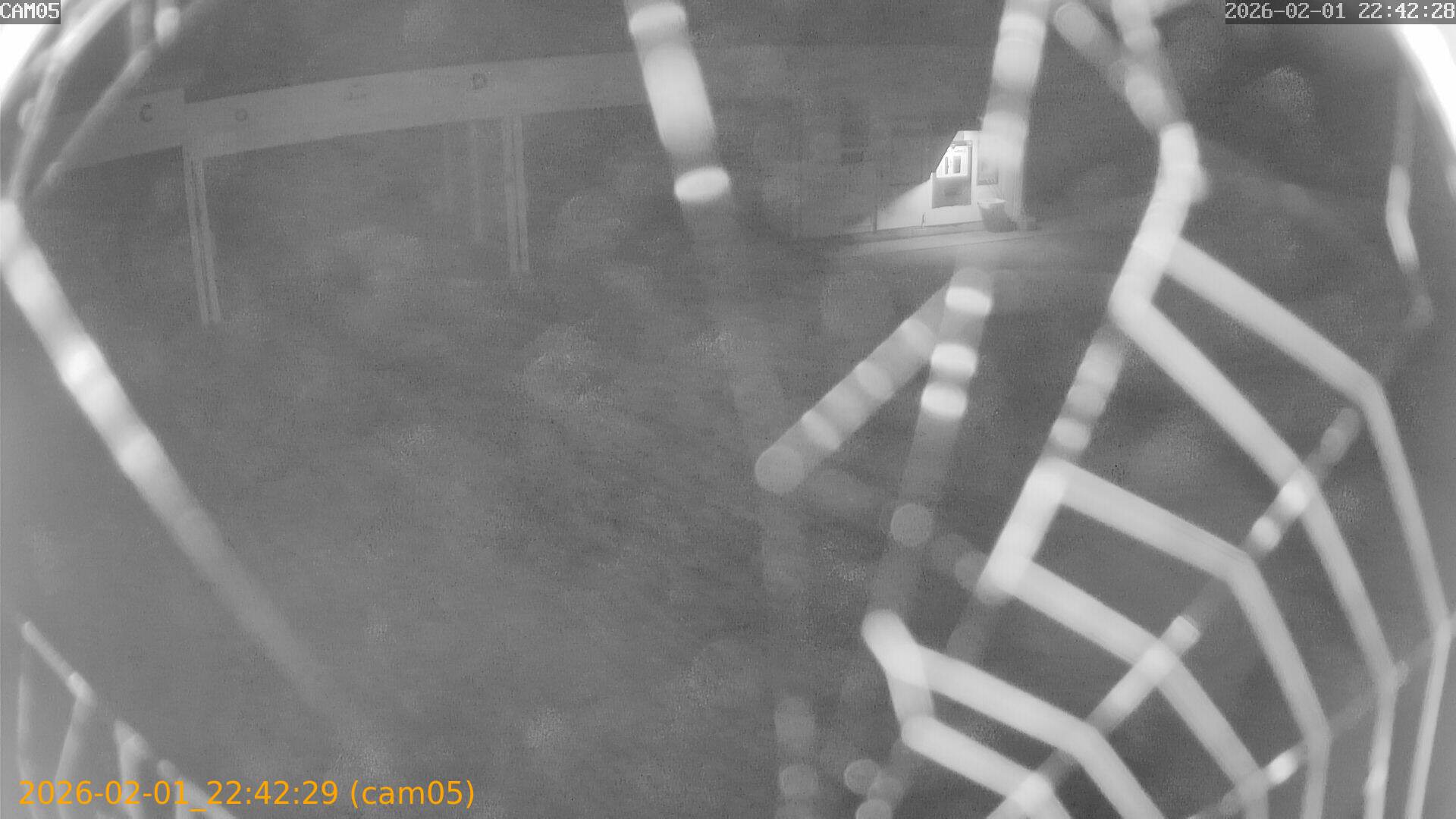 thumbnail_20260201224229