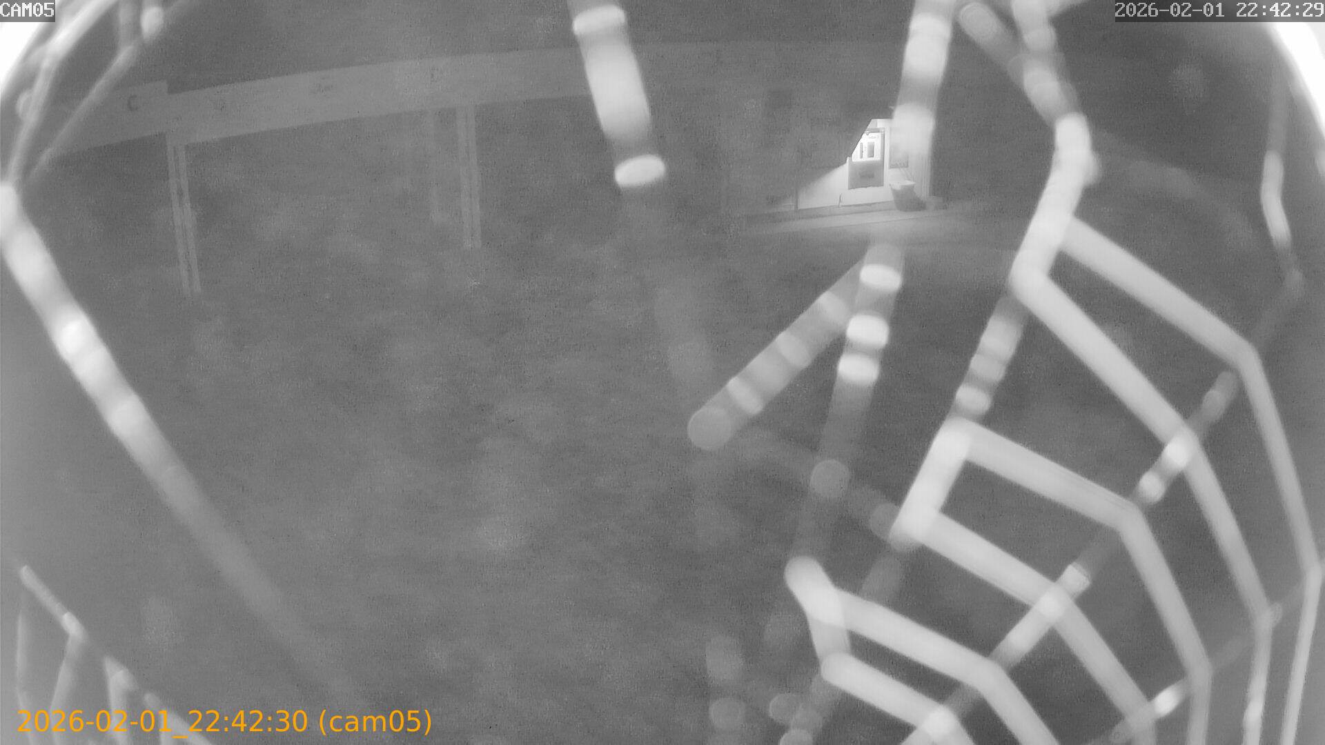 thumbnail_20260201224230