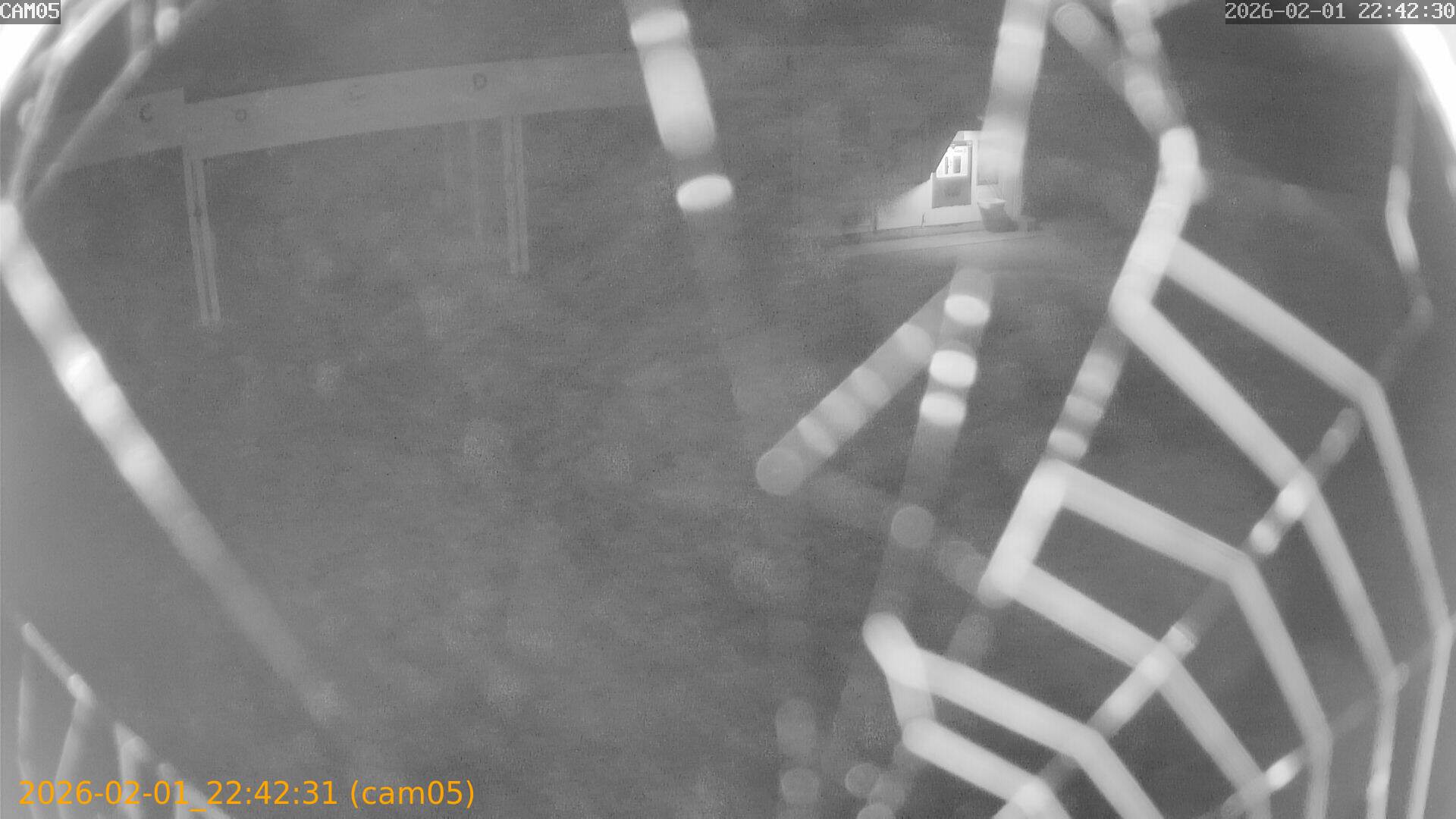 thumbnail_20260201224231