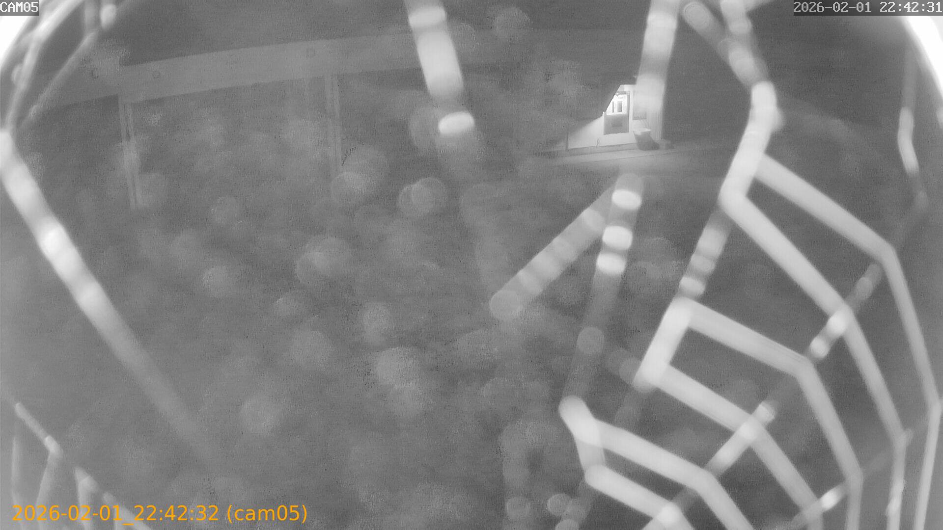 thumbnail_20260201224232