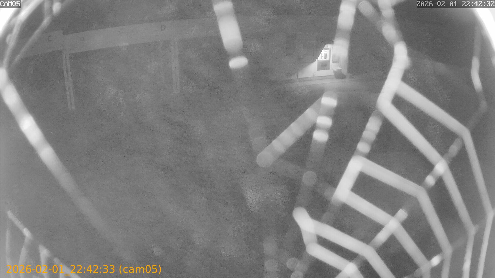 thumbnail_20260201224233