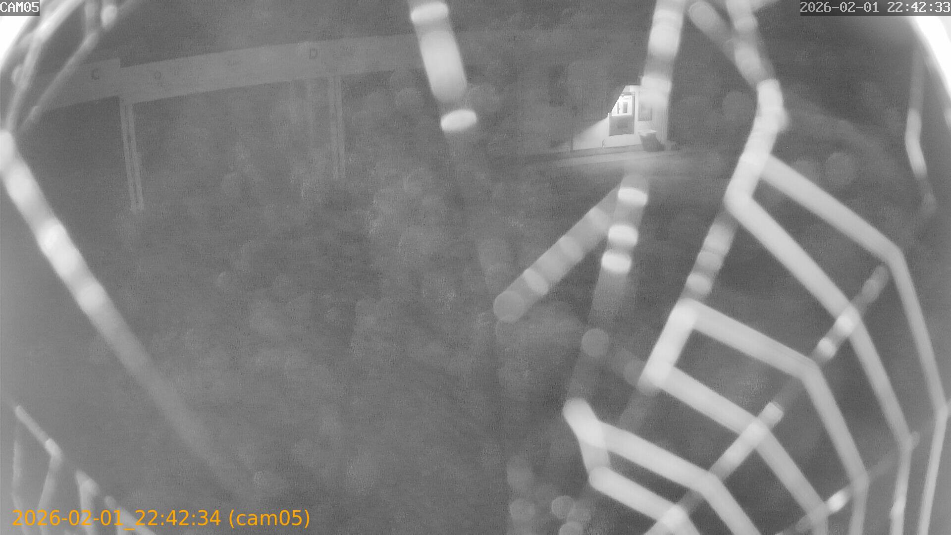 thumbnail_20260201224234