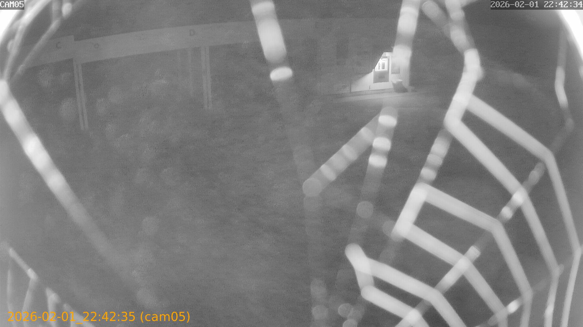 thumbnail_20260201224235