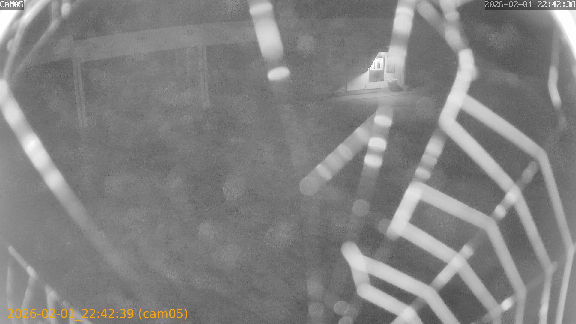 thumbnail_20260201224239