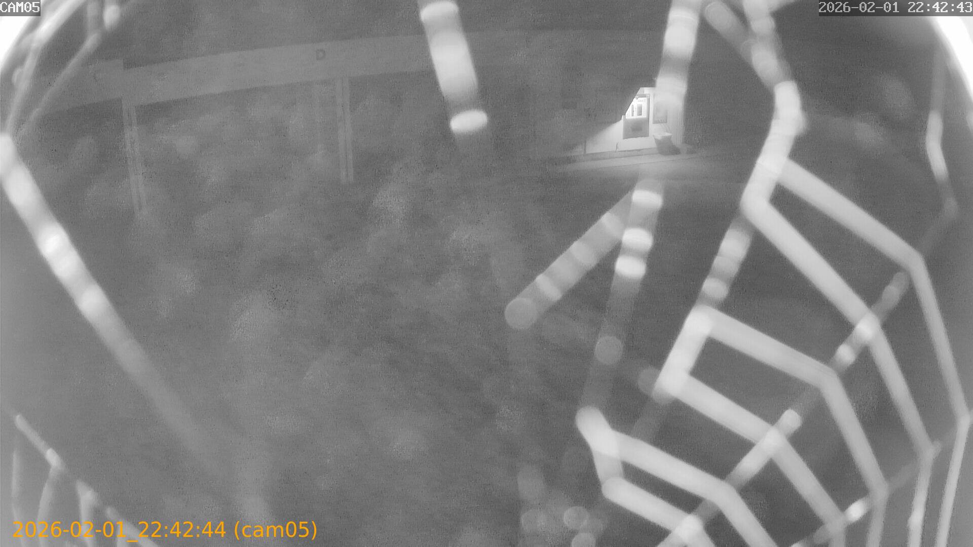 thumbnail_20260201224244