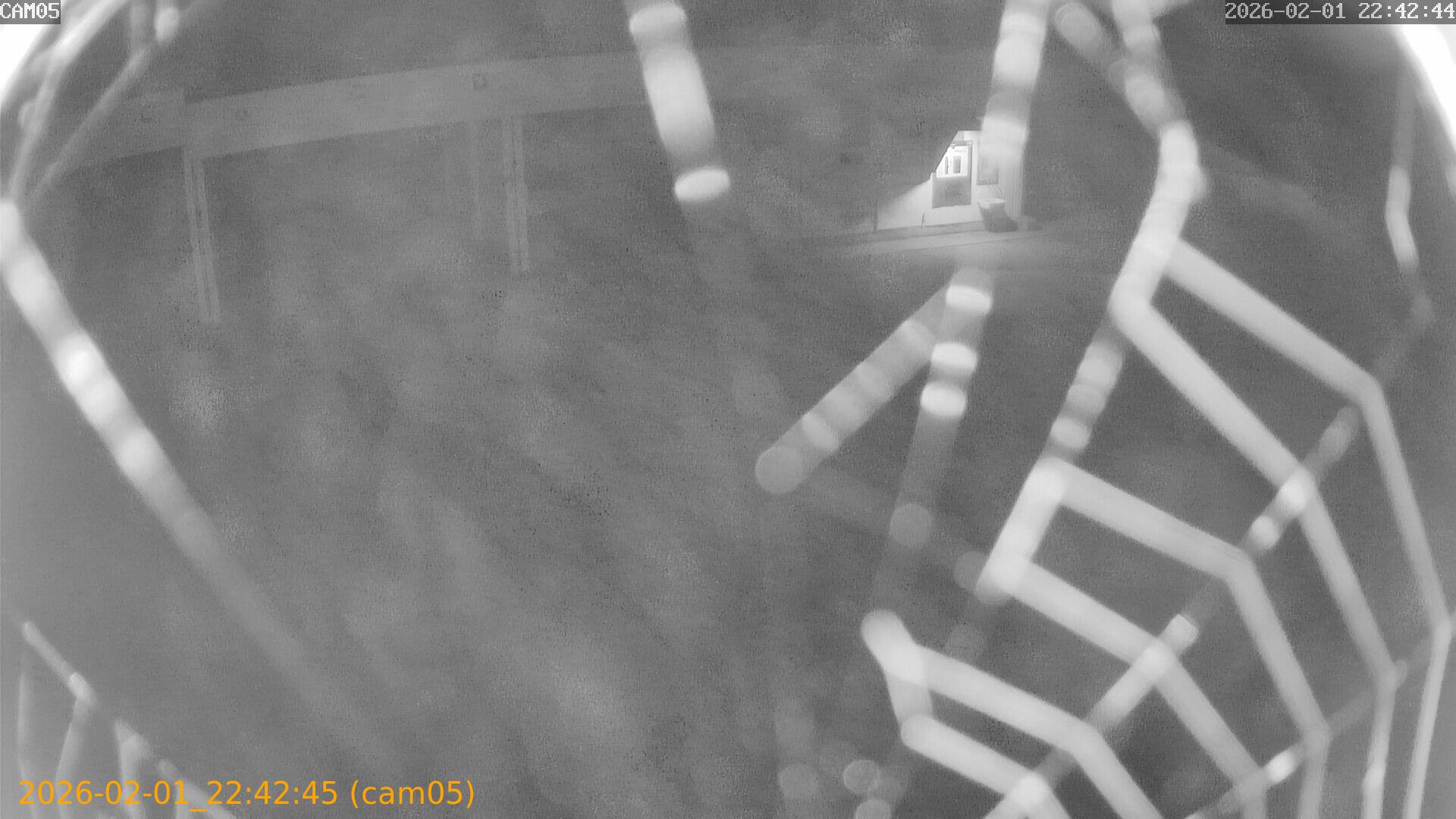 thumbnail_20260201224245