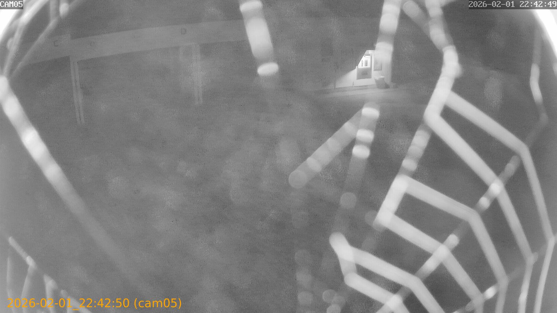 thumbnail_20260201224250