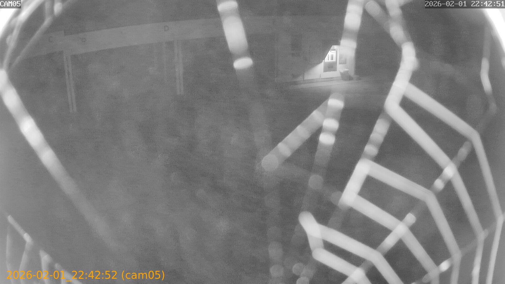 thumbnail_20260201224252