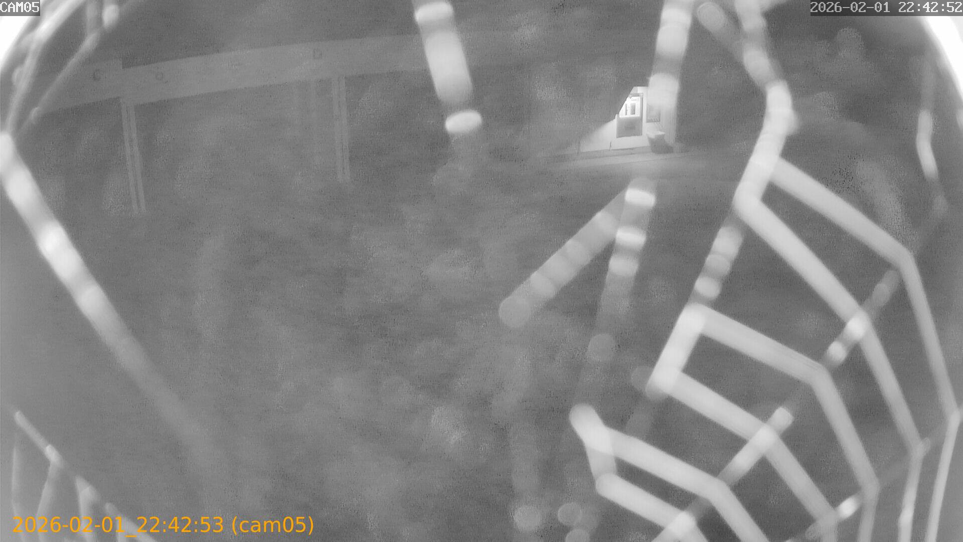 thumbnail_20260201224253