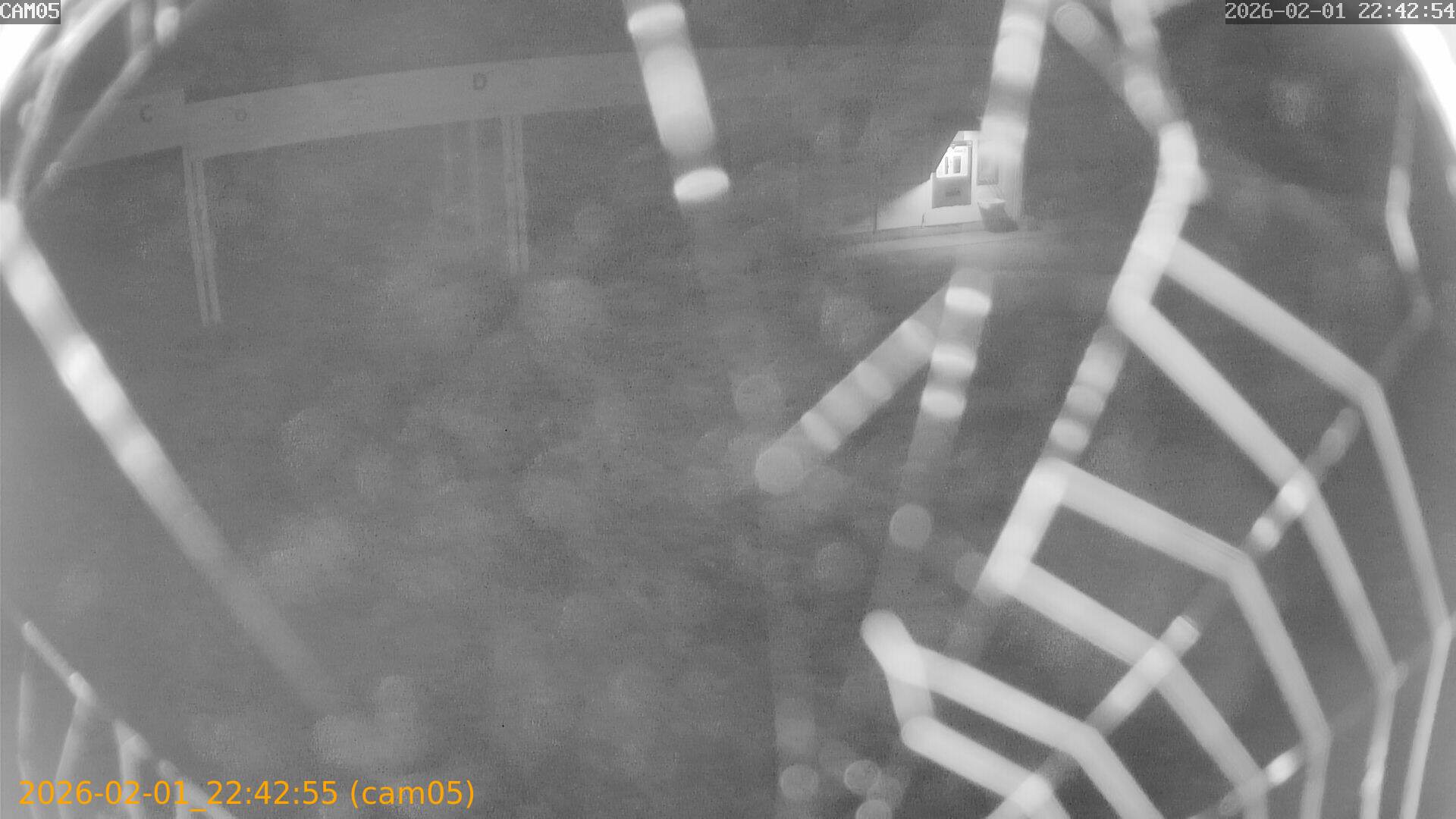 thumbnail_20260201224255