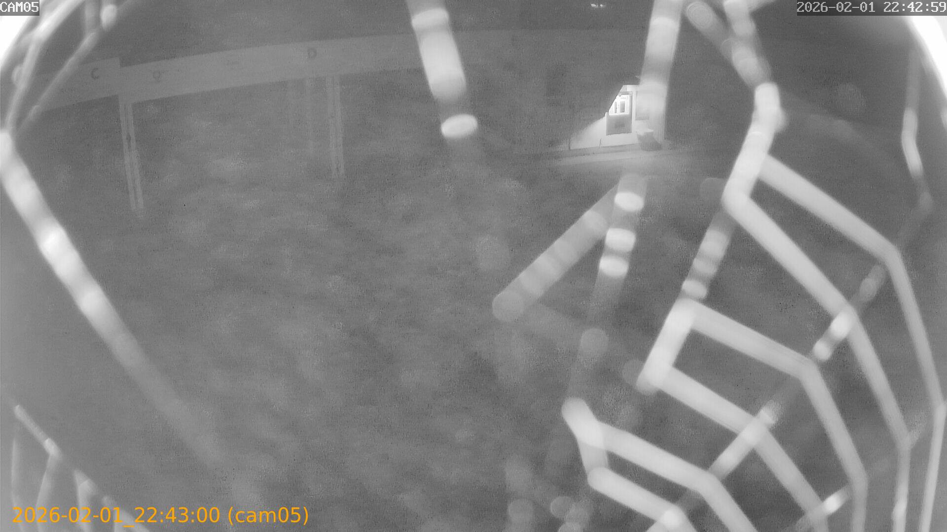 thumbnail_20260201224300