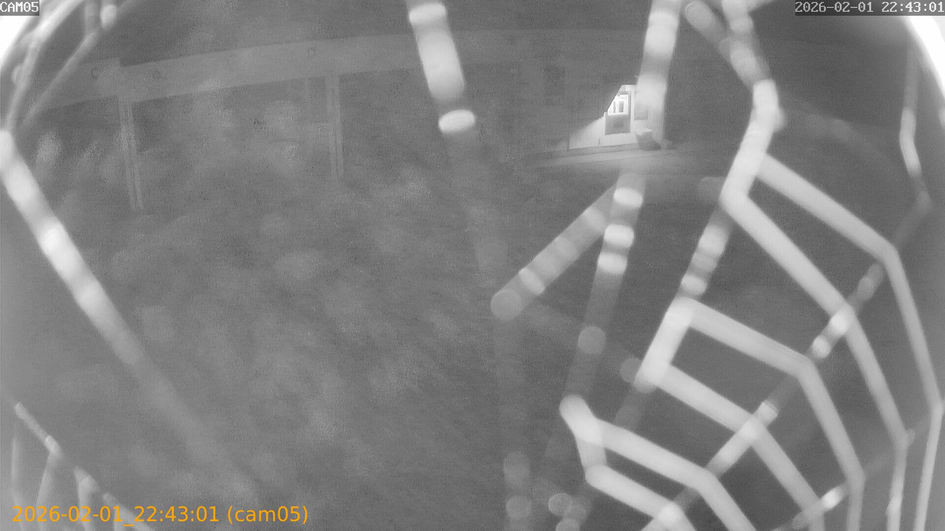 thumbnail_20260201224301