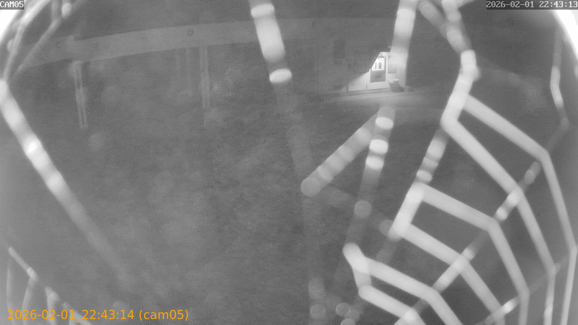 thumbnail_20260201224314