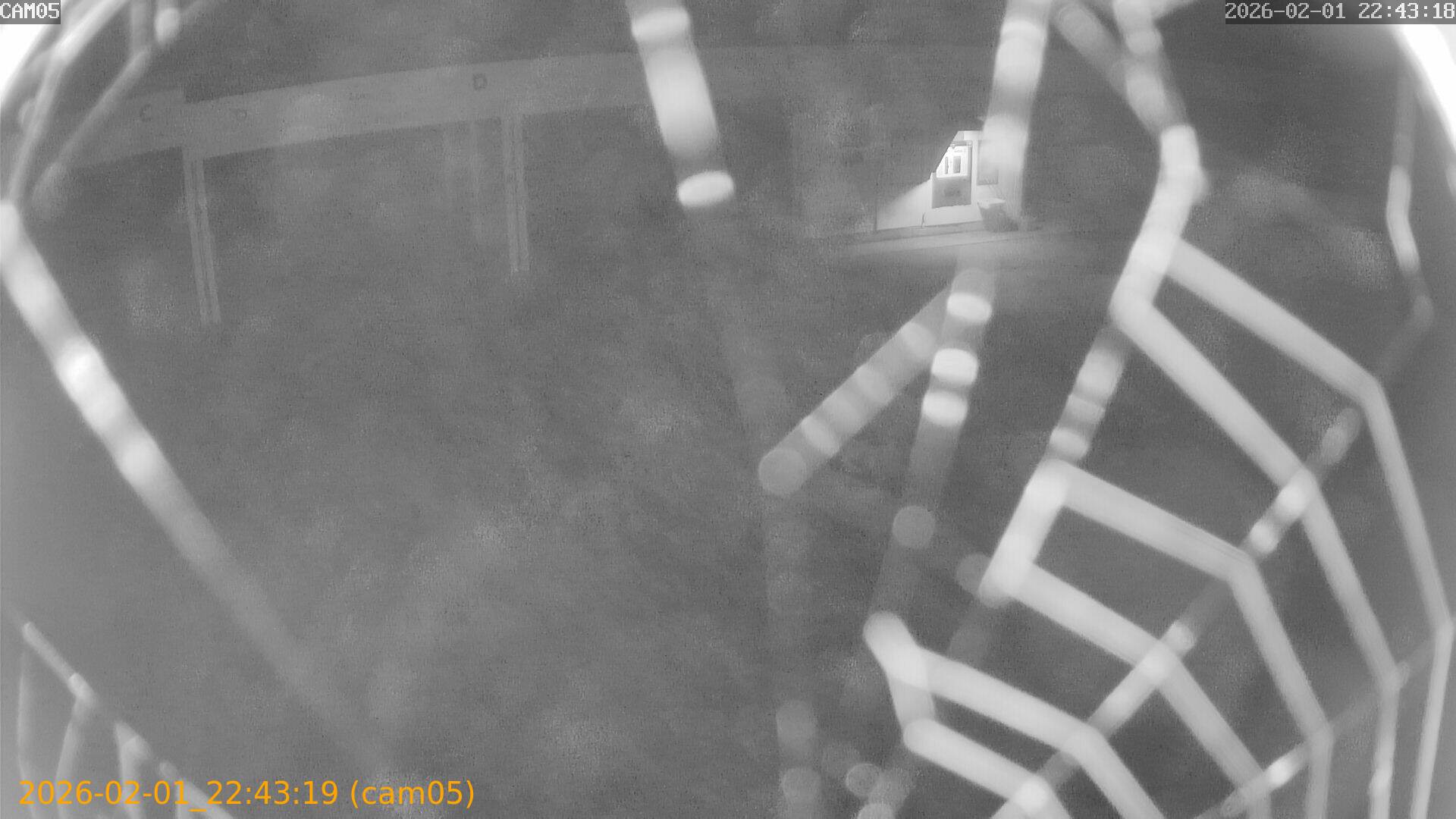 thumbnail_20260201224319