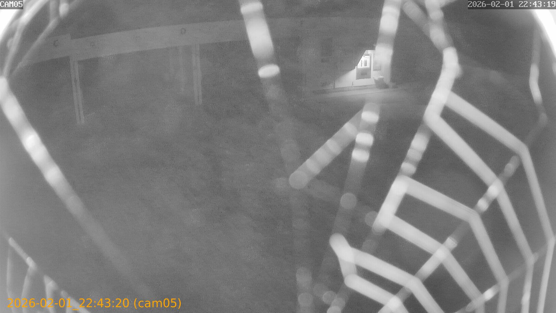 thumbnail_20260201224320