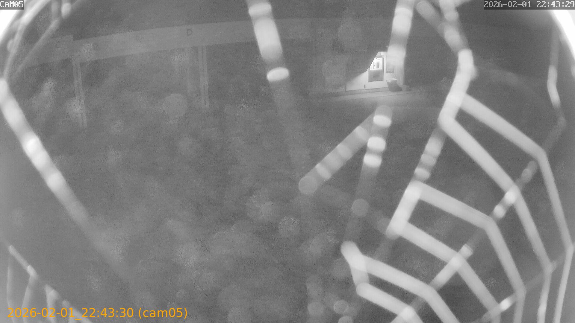 thumbnail_20260201224330