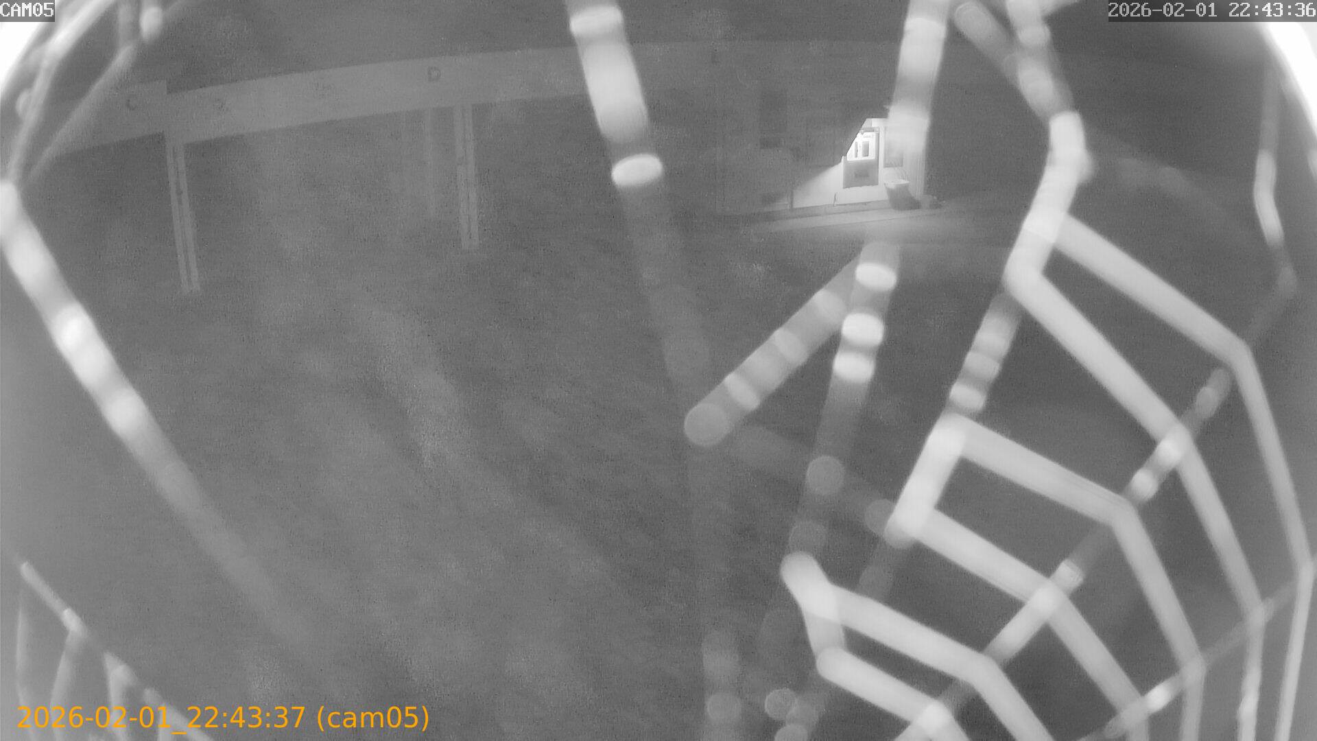 thumbnail_20260201224337