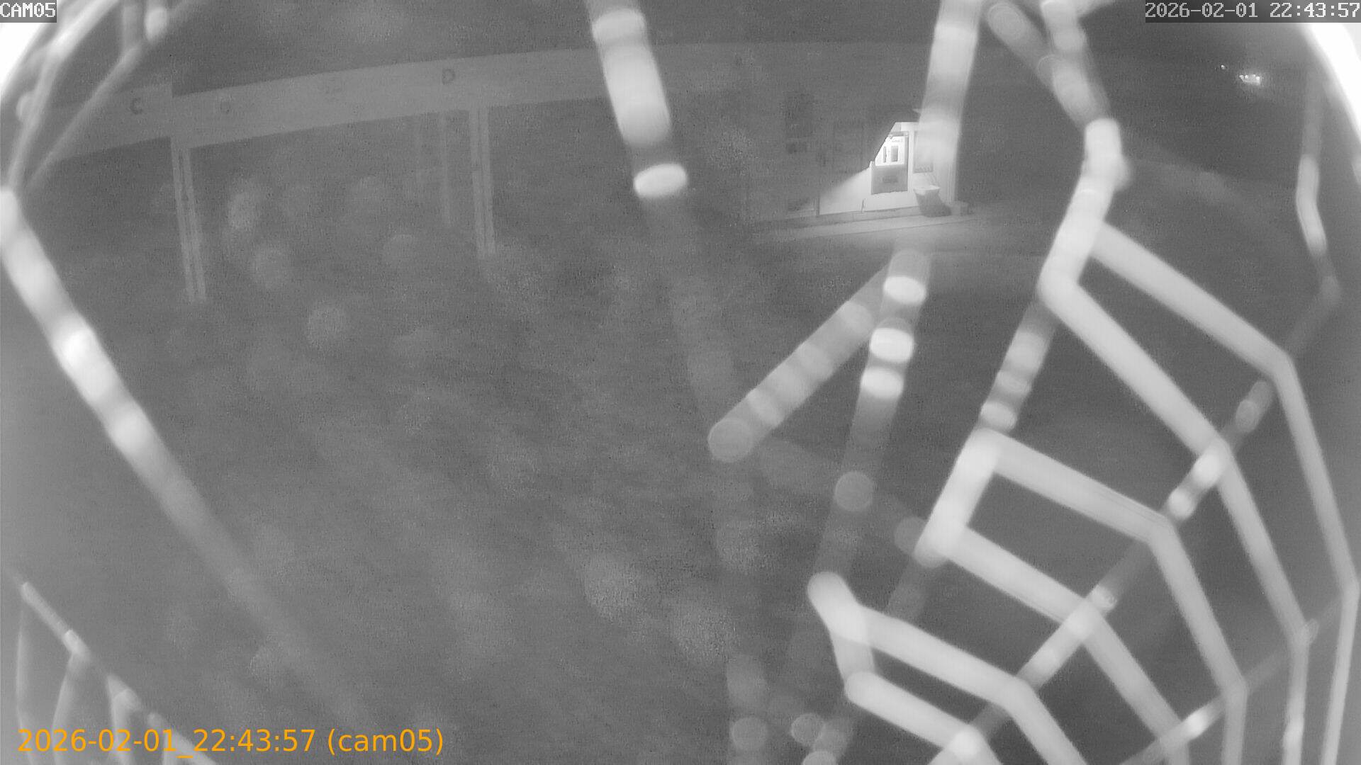 thumbnail_20260201224357