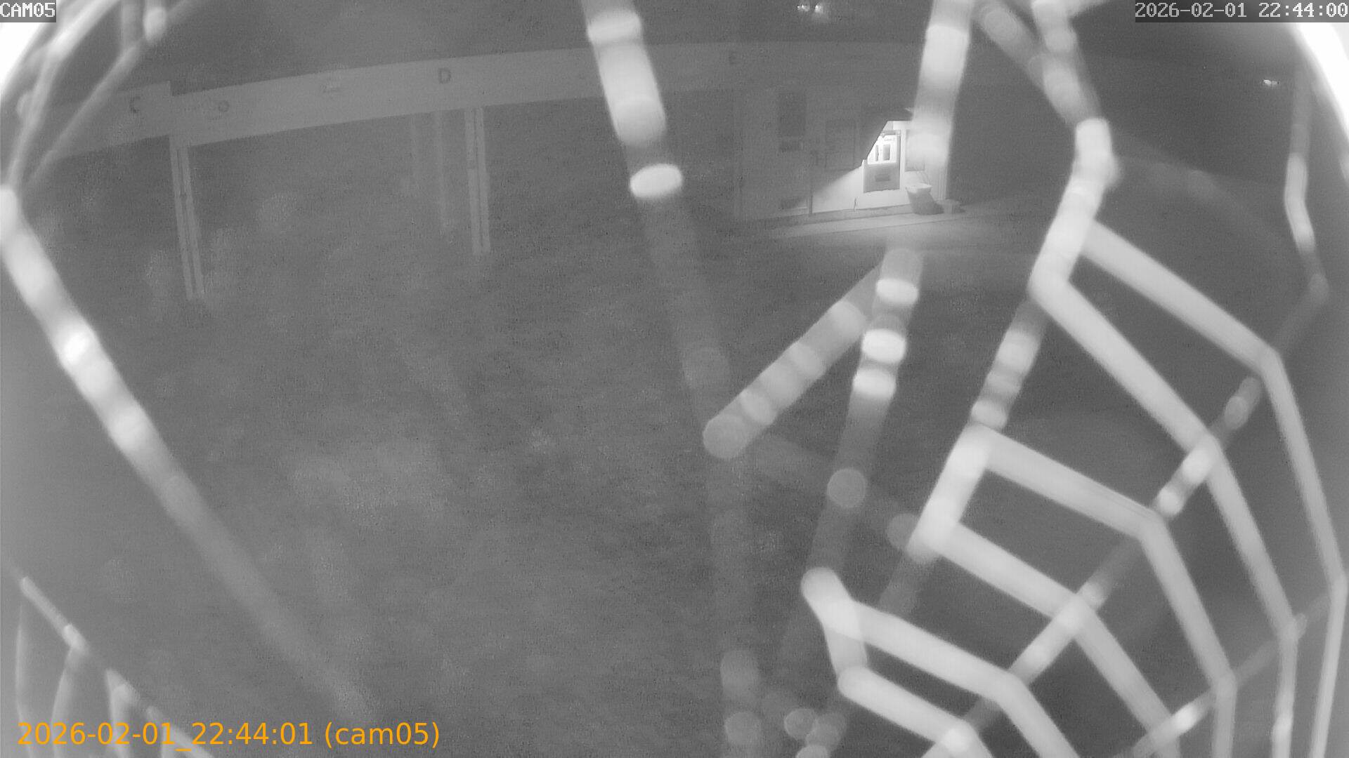 thumbnail_20260201224401