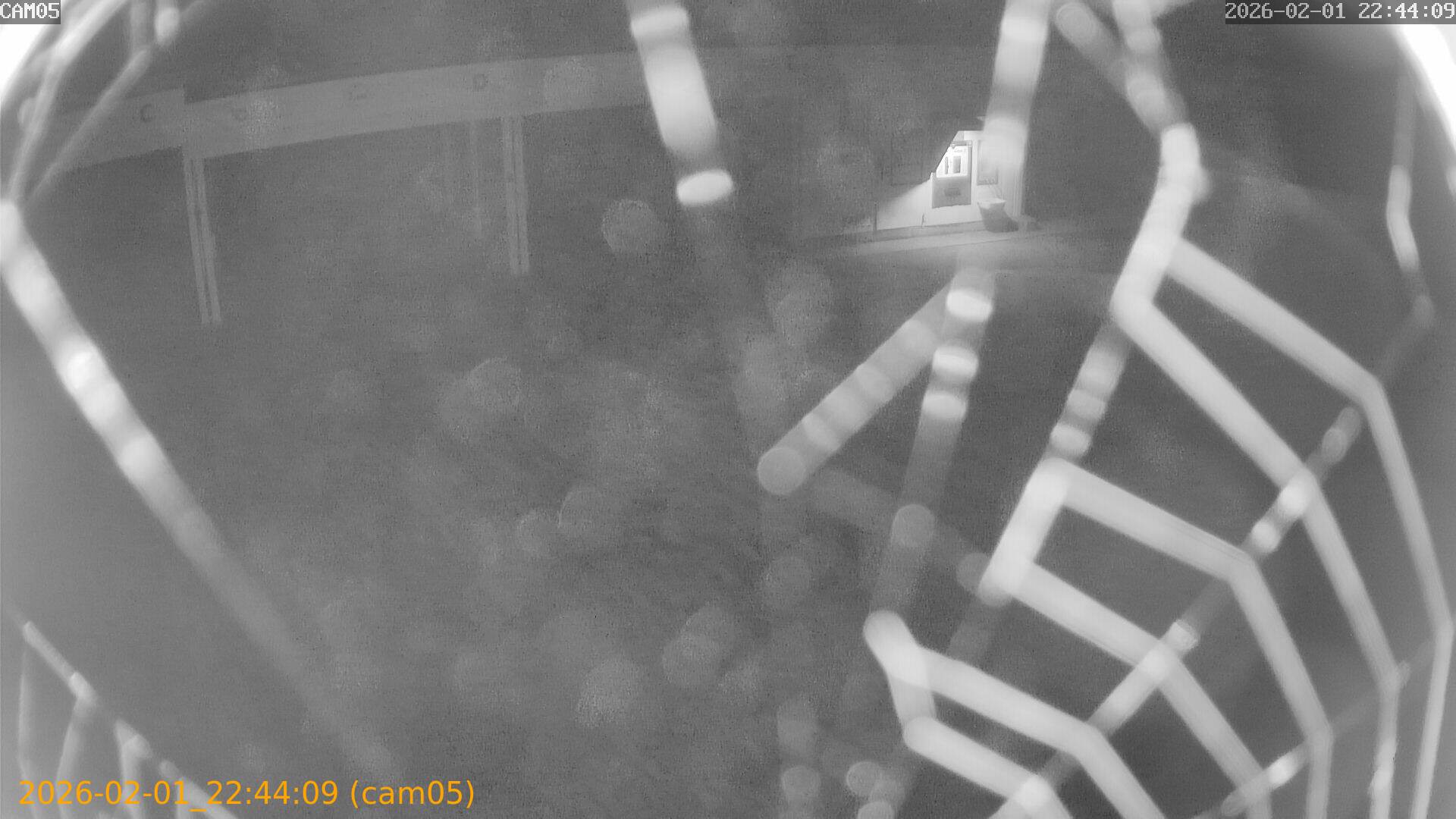 thumbnail_20260201224409