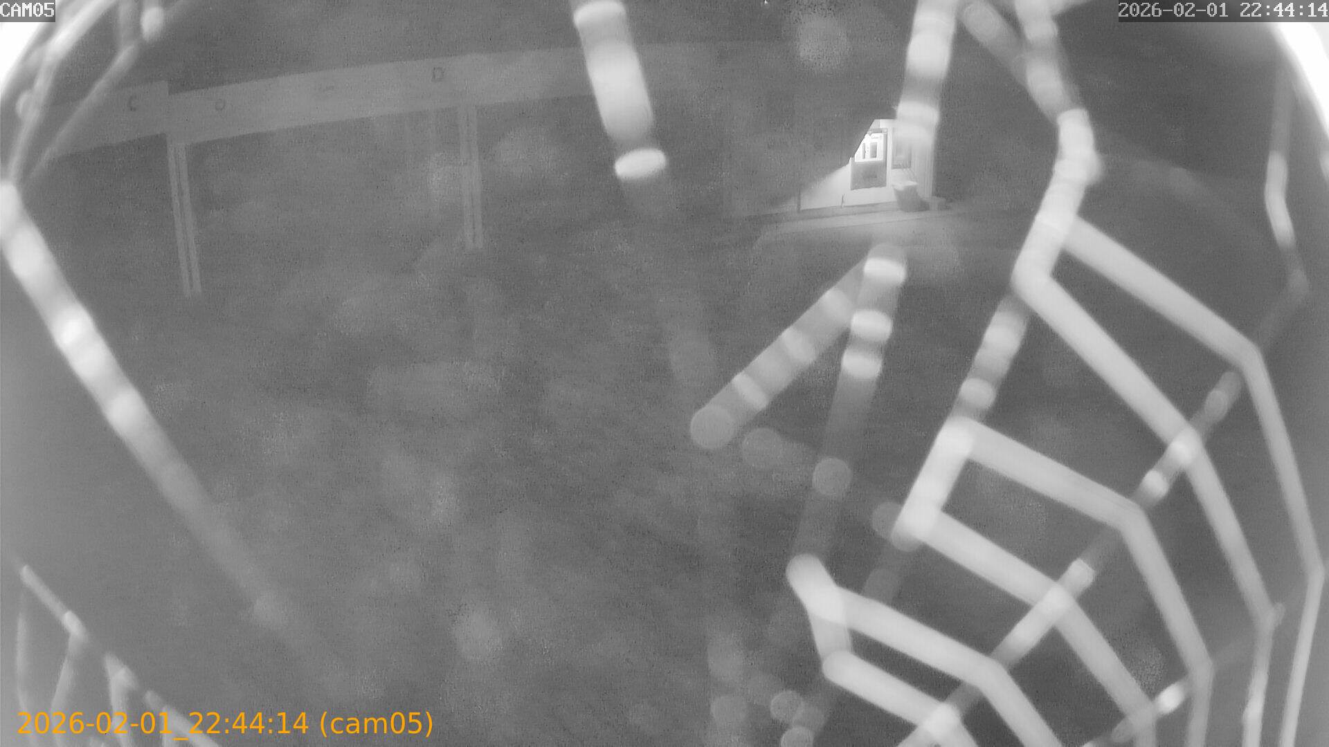 thumbnail_20260201224414