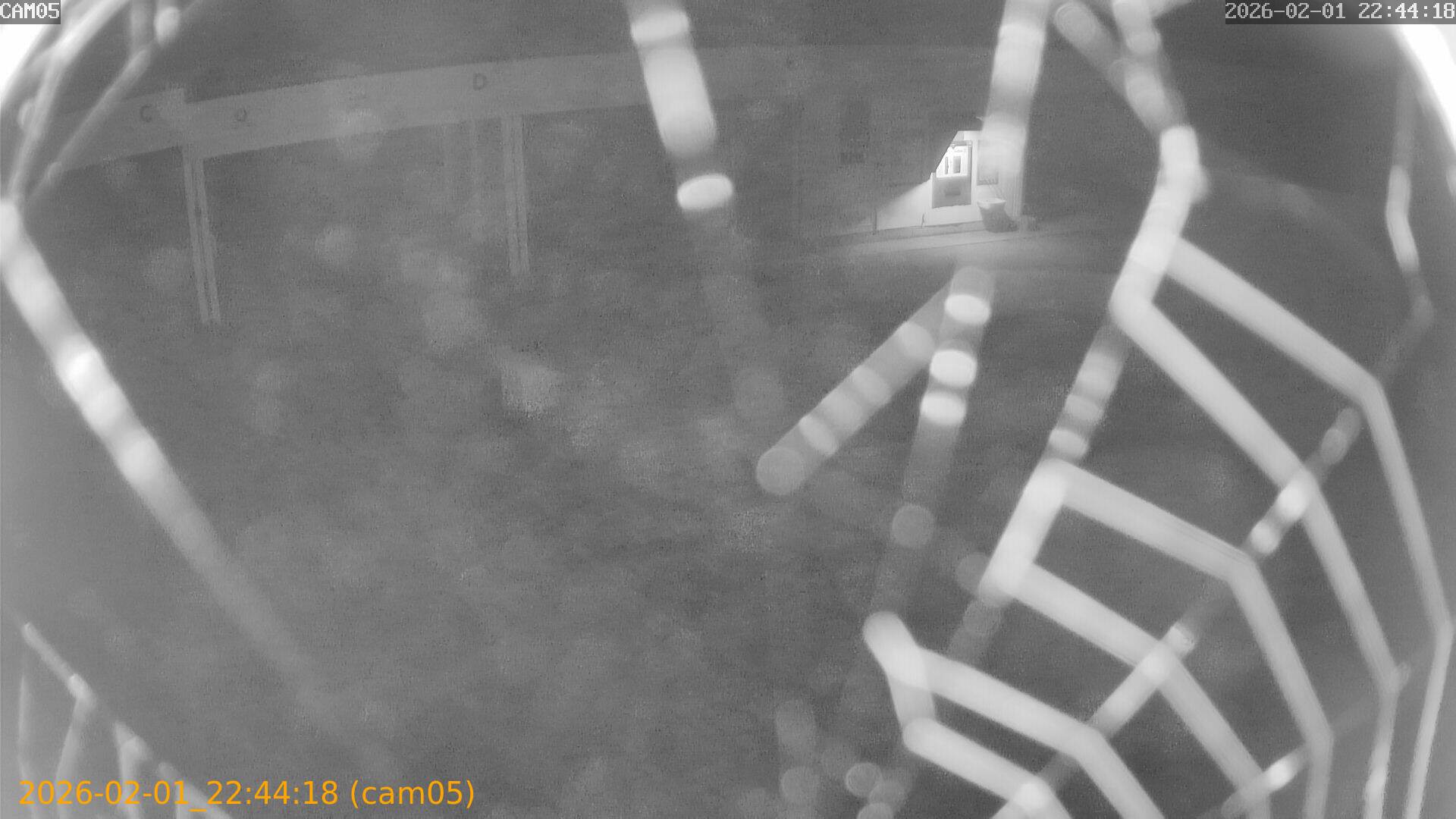 thumbnail_20260201224418