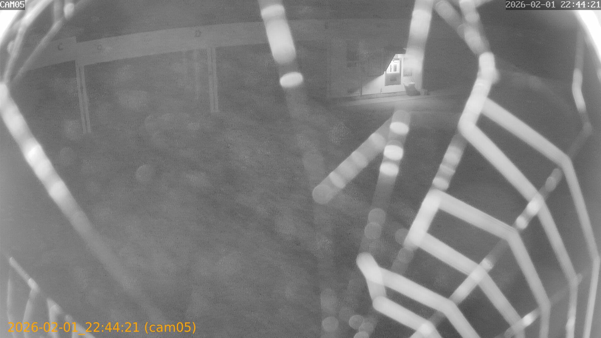 thumbnail_20260201224421