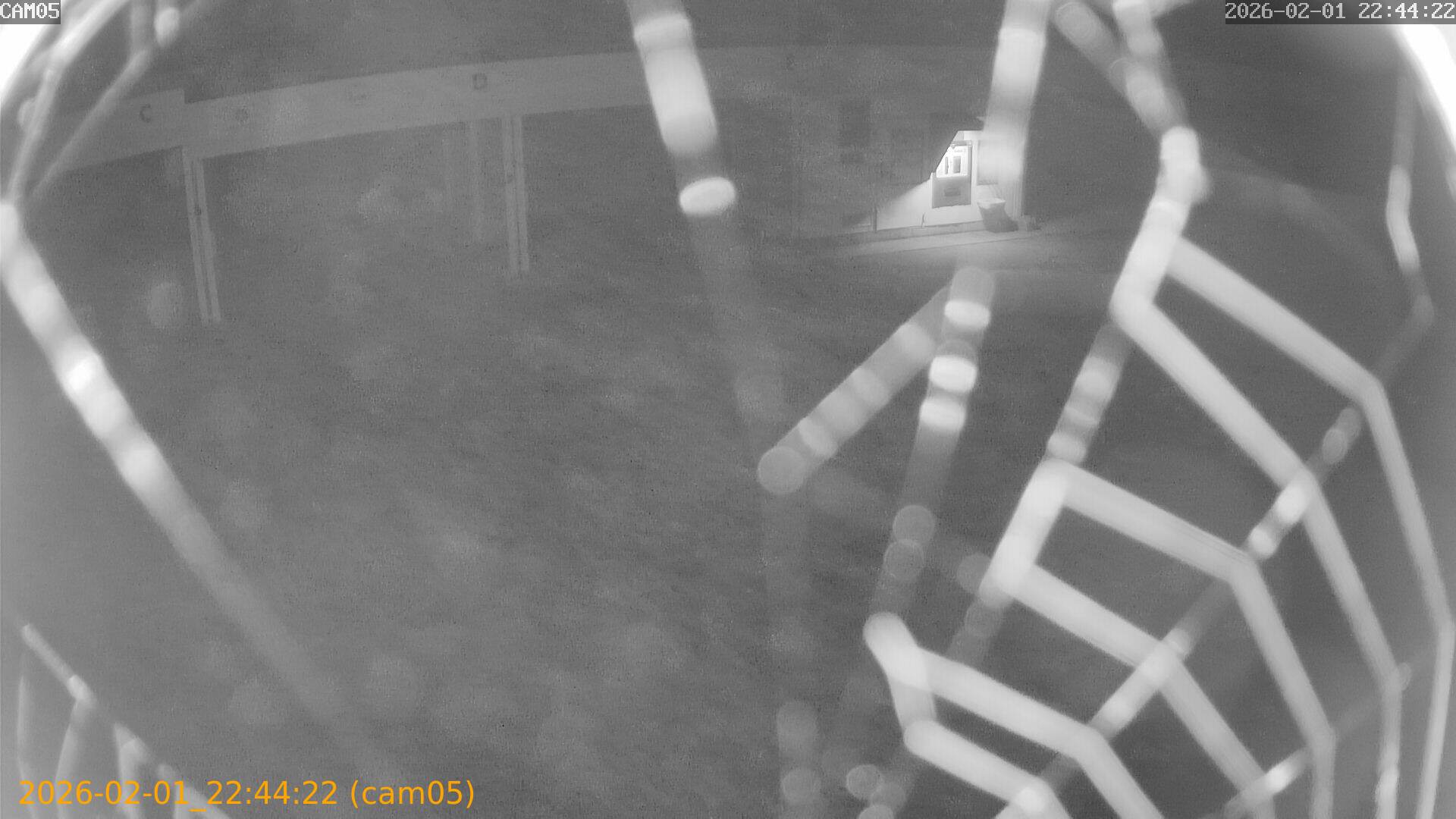 thumbnail_20260201224422