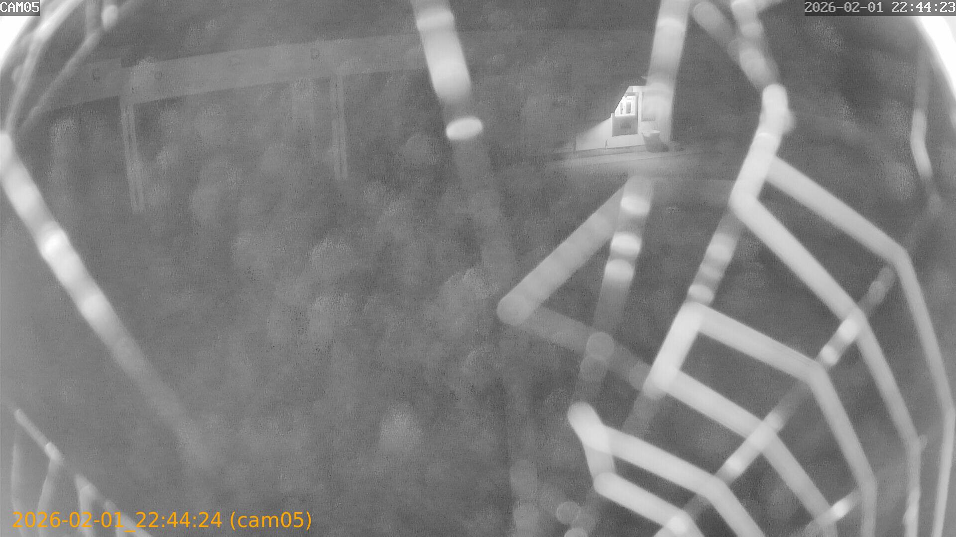 thumbnail_20260201224424