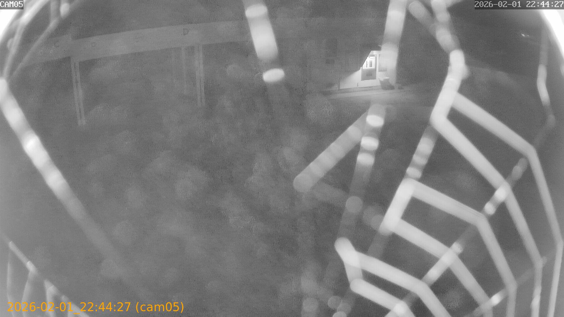 thumbnail_20260201224427