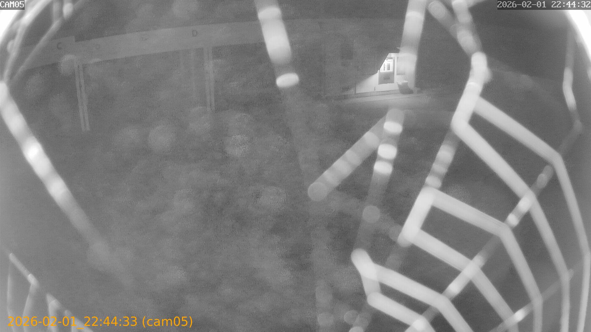 thumbnail_20260201224432