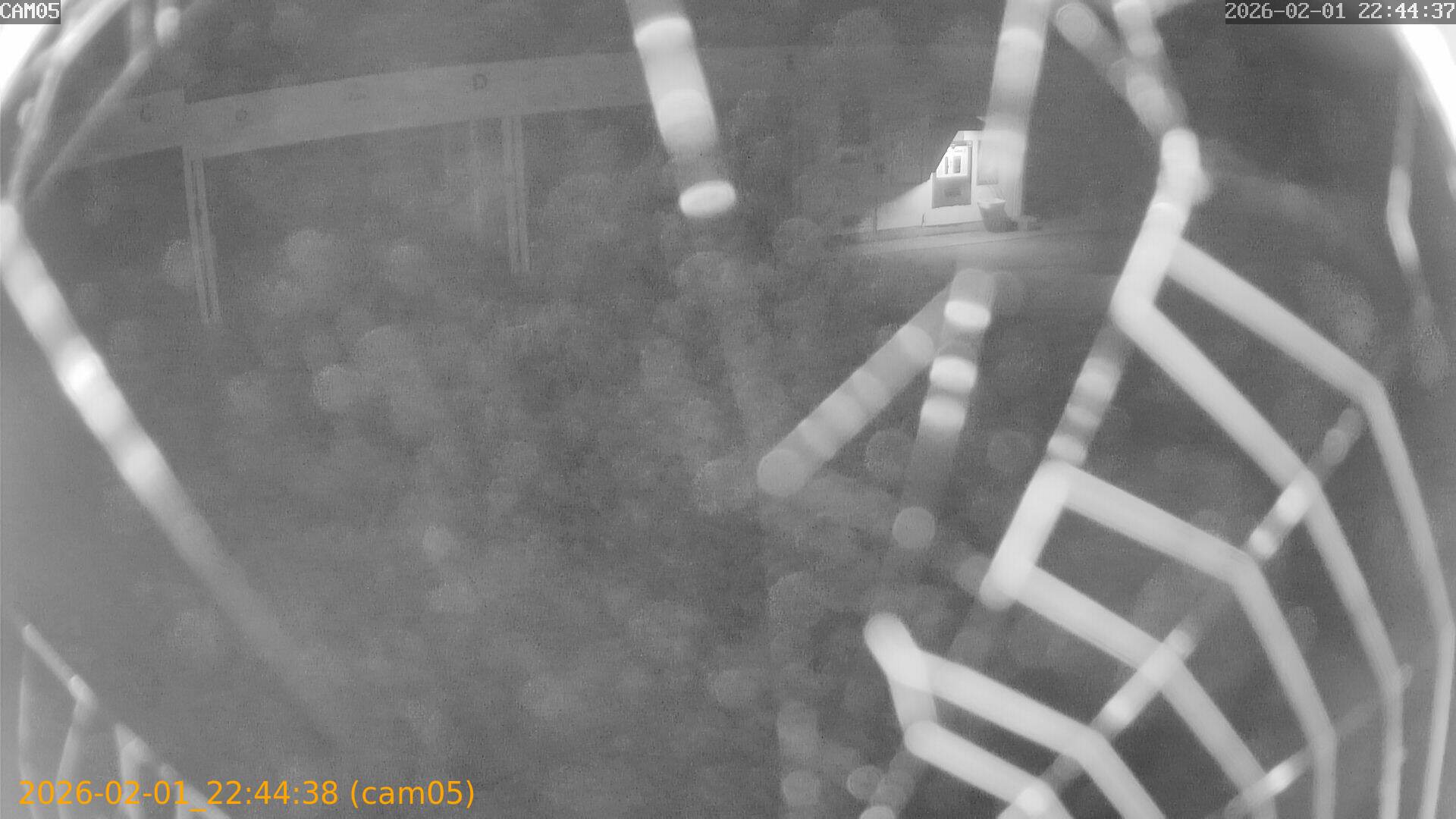 thumbnail_20260201224438