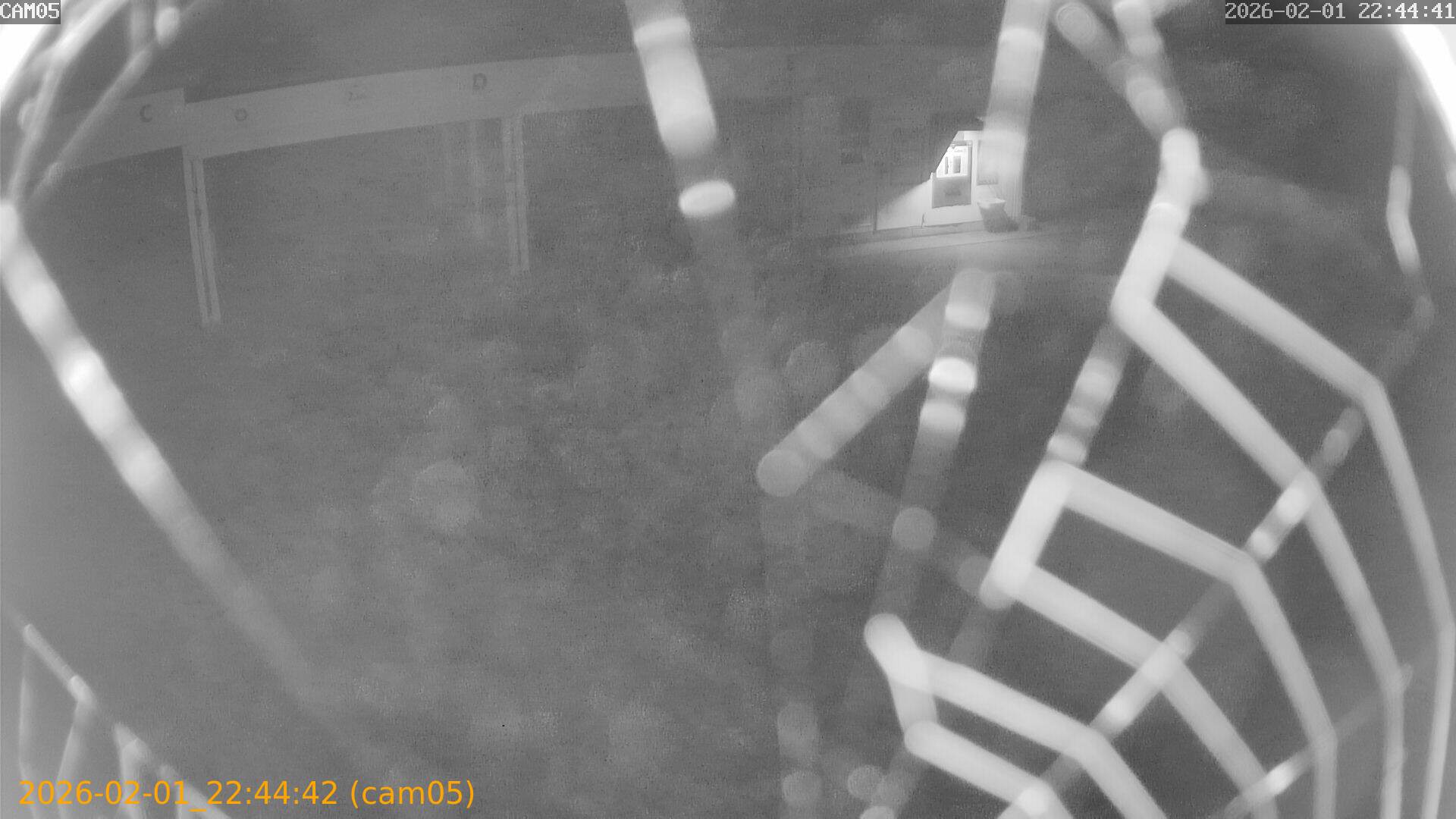 thumbnail_20260201224442