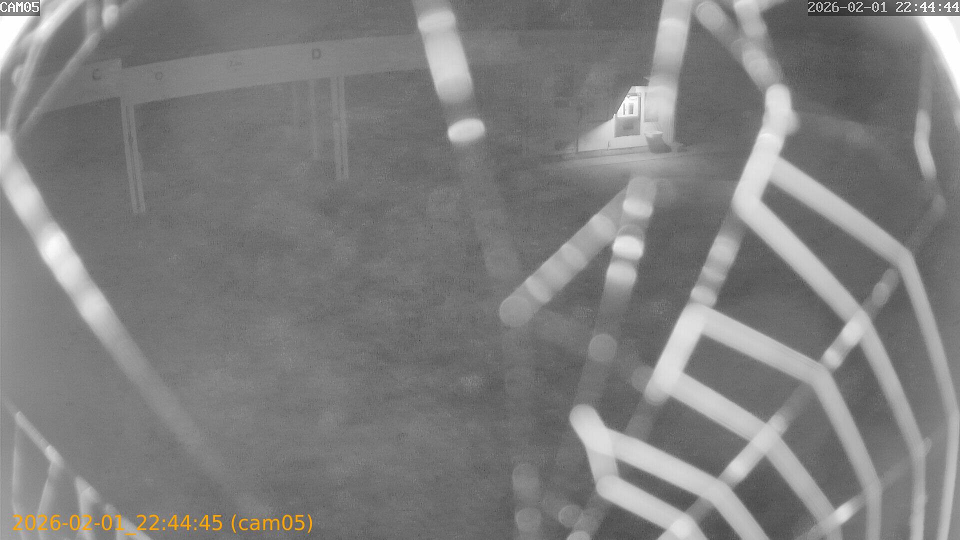 thumbnail_20260201224445