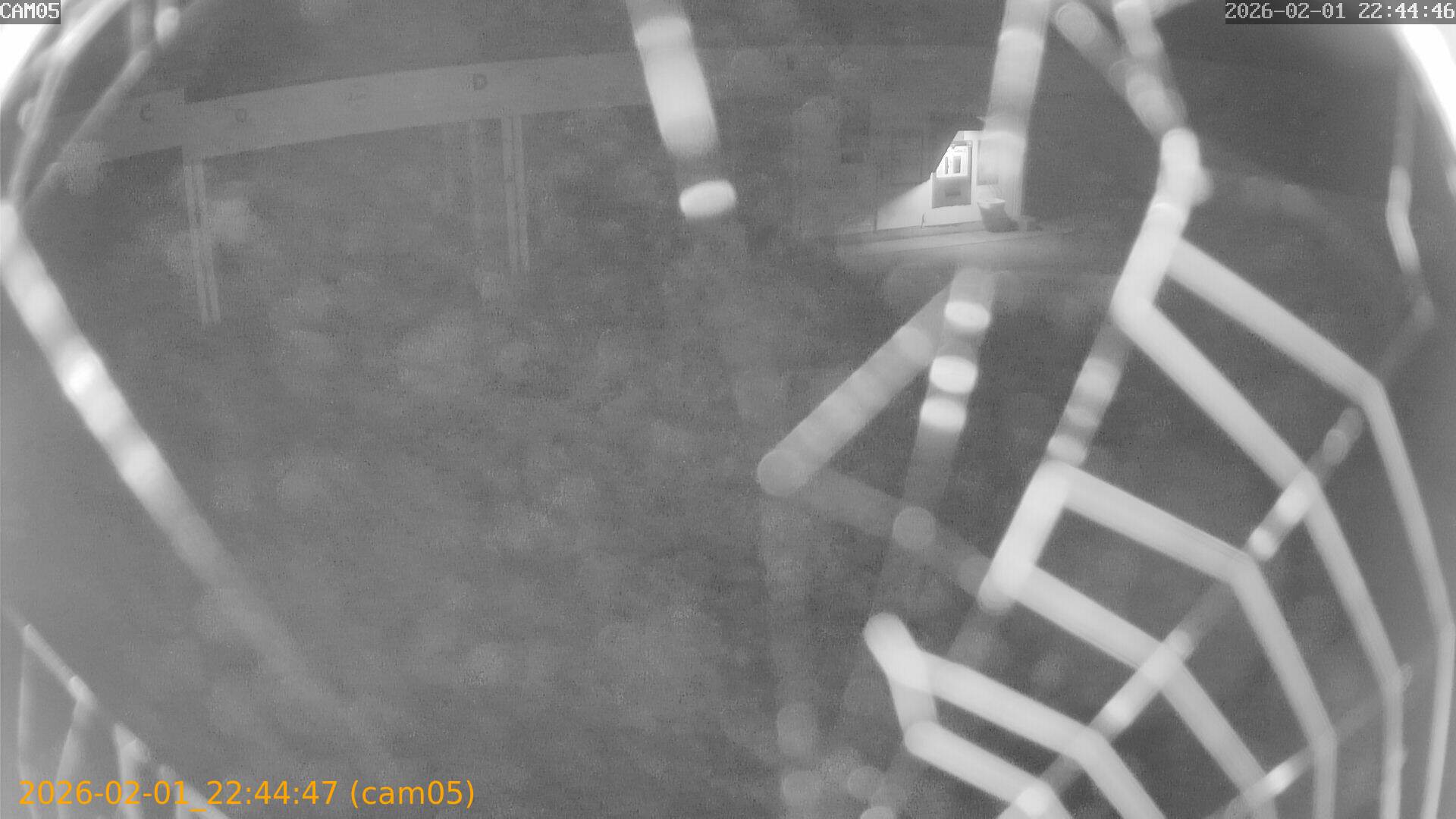 thumbnail_20260201224447