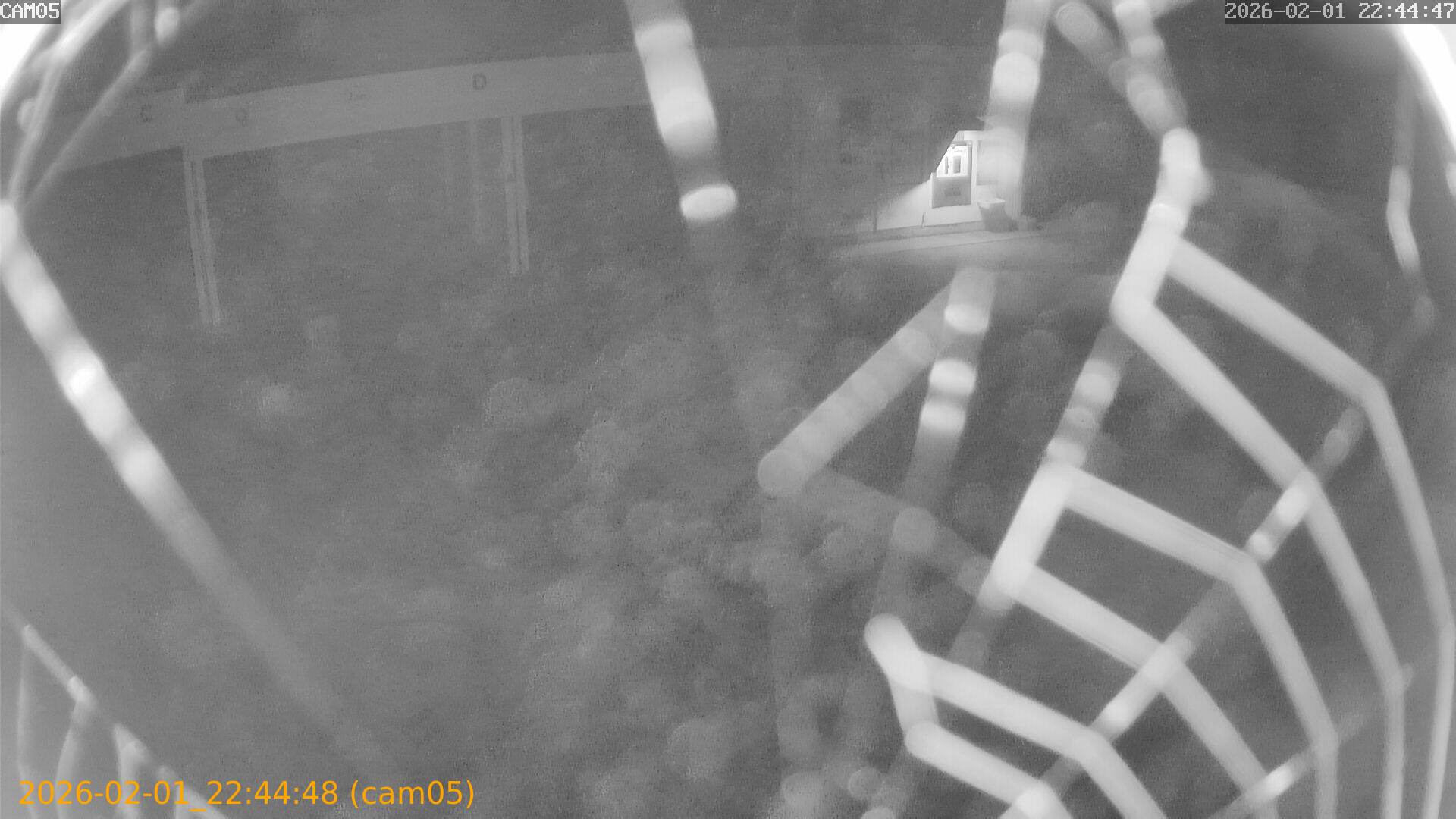 thumbnail_20260201224448