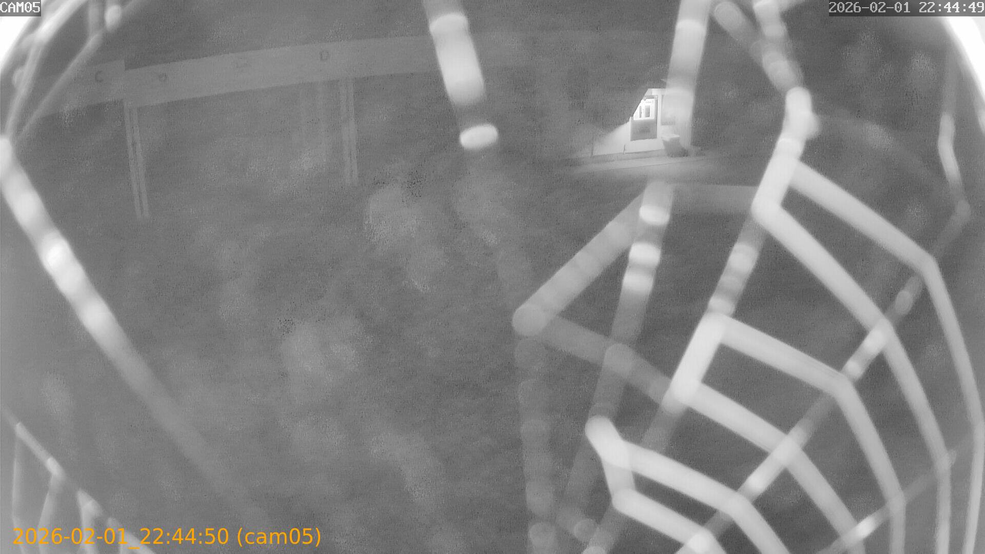 thumbnail_20260201224450