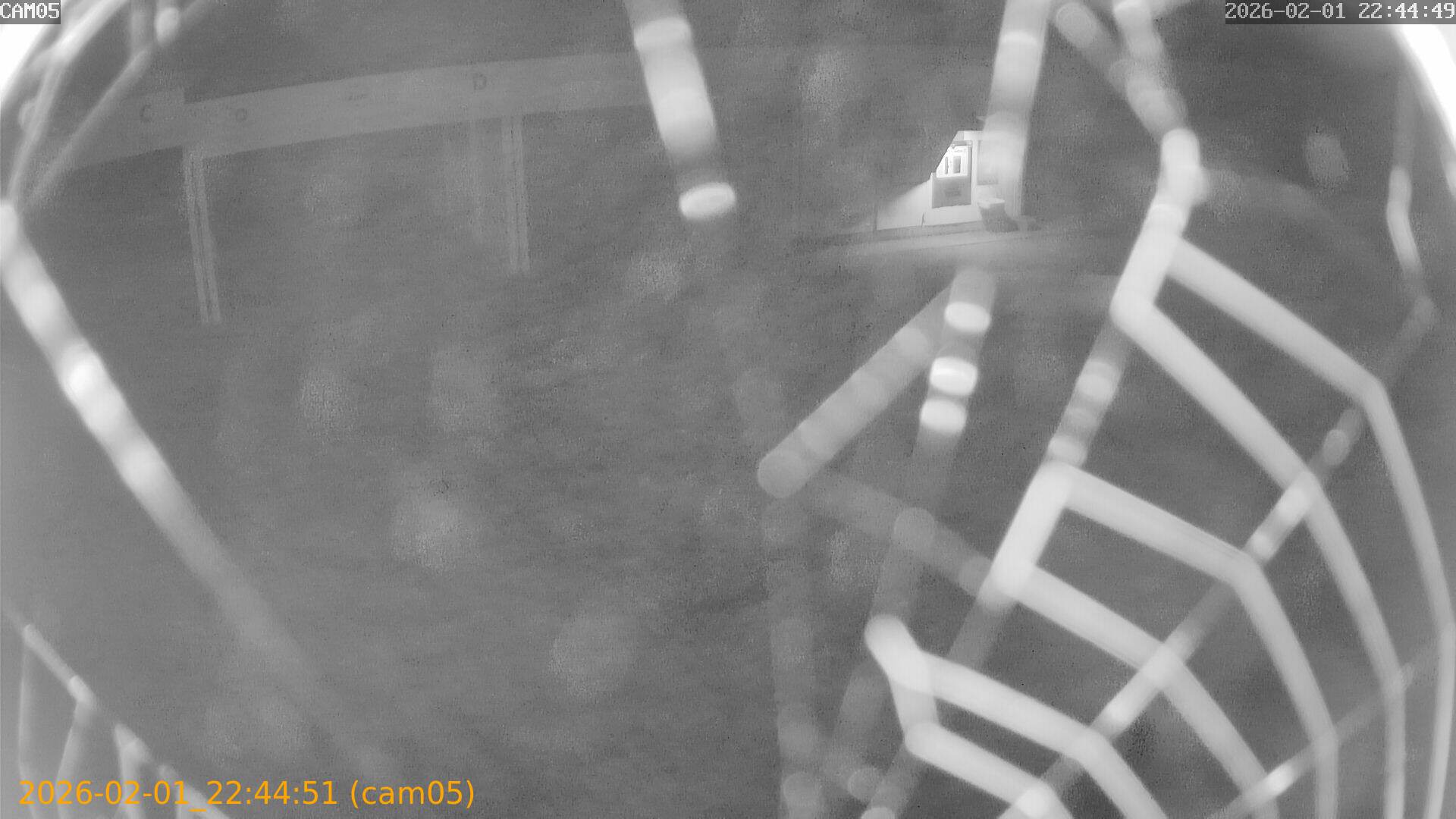 thumbnail_20260201224451