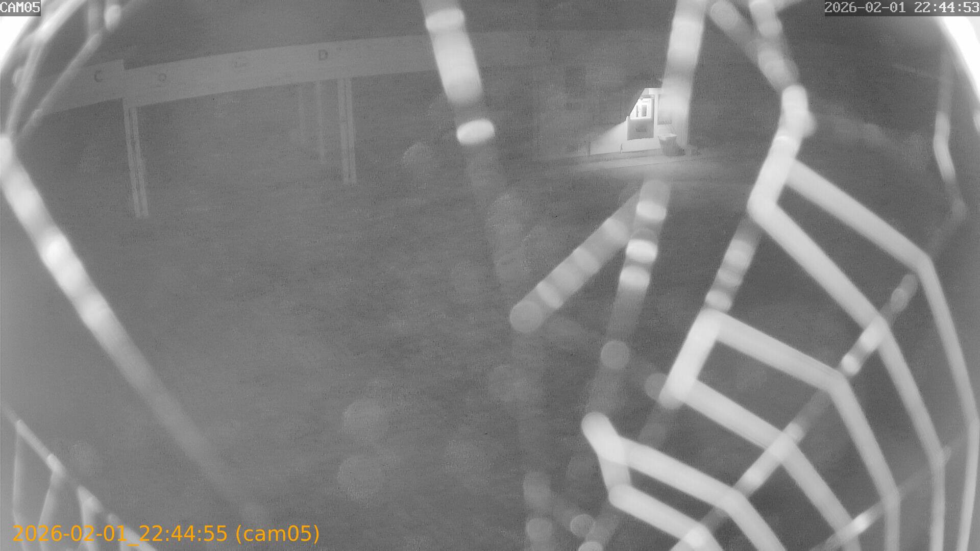 thumbnail_20260201224455