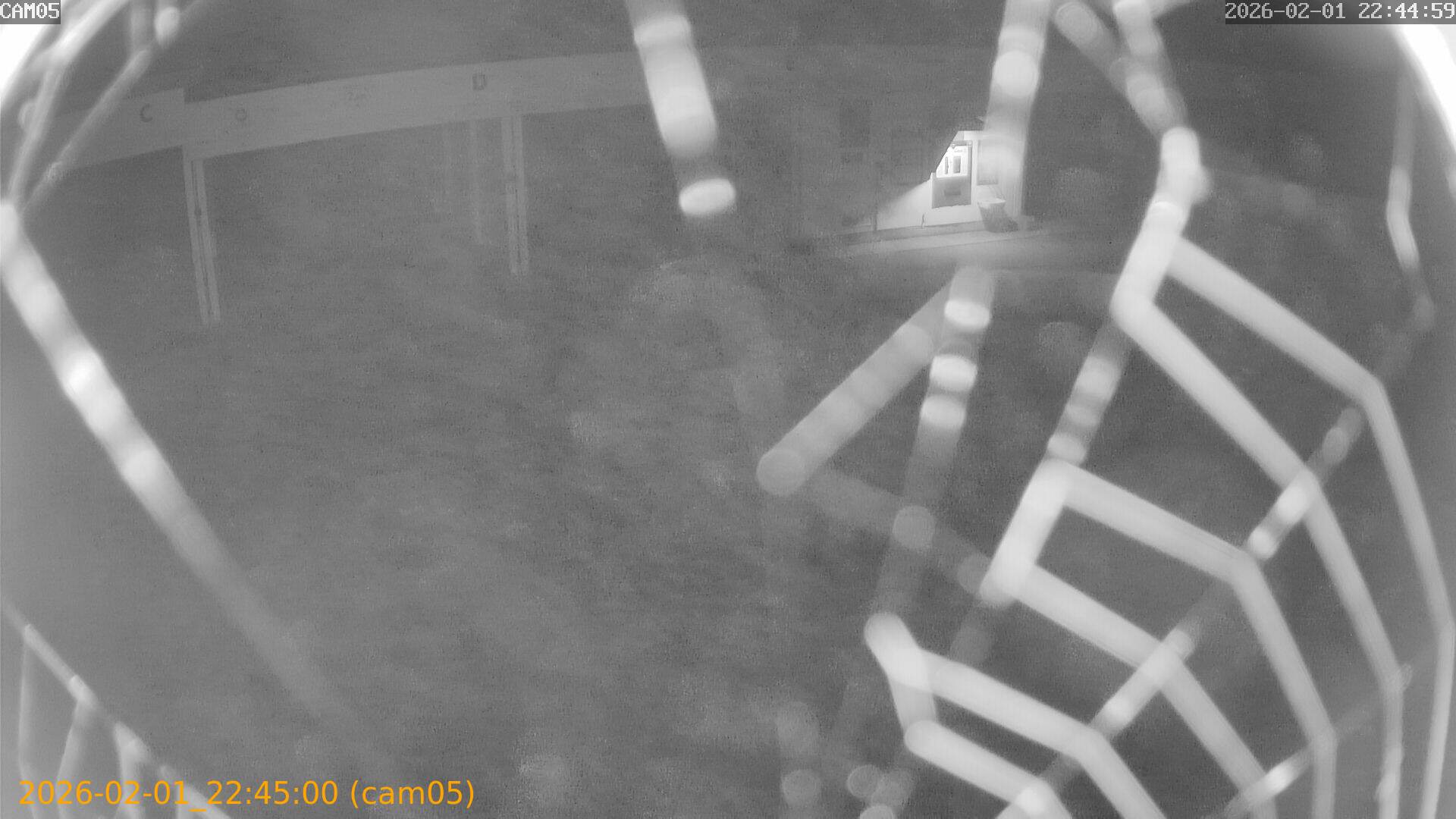 thumbnail_20260201224500