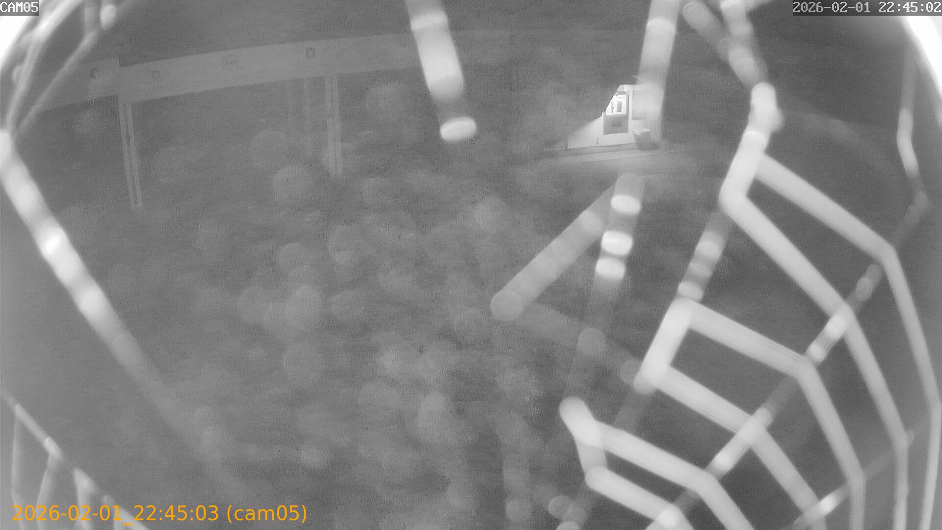 thumbnail_20260201224503