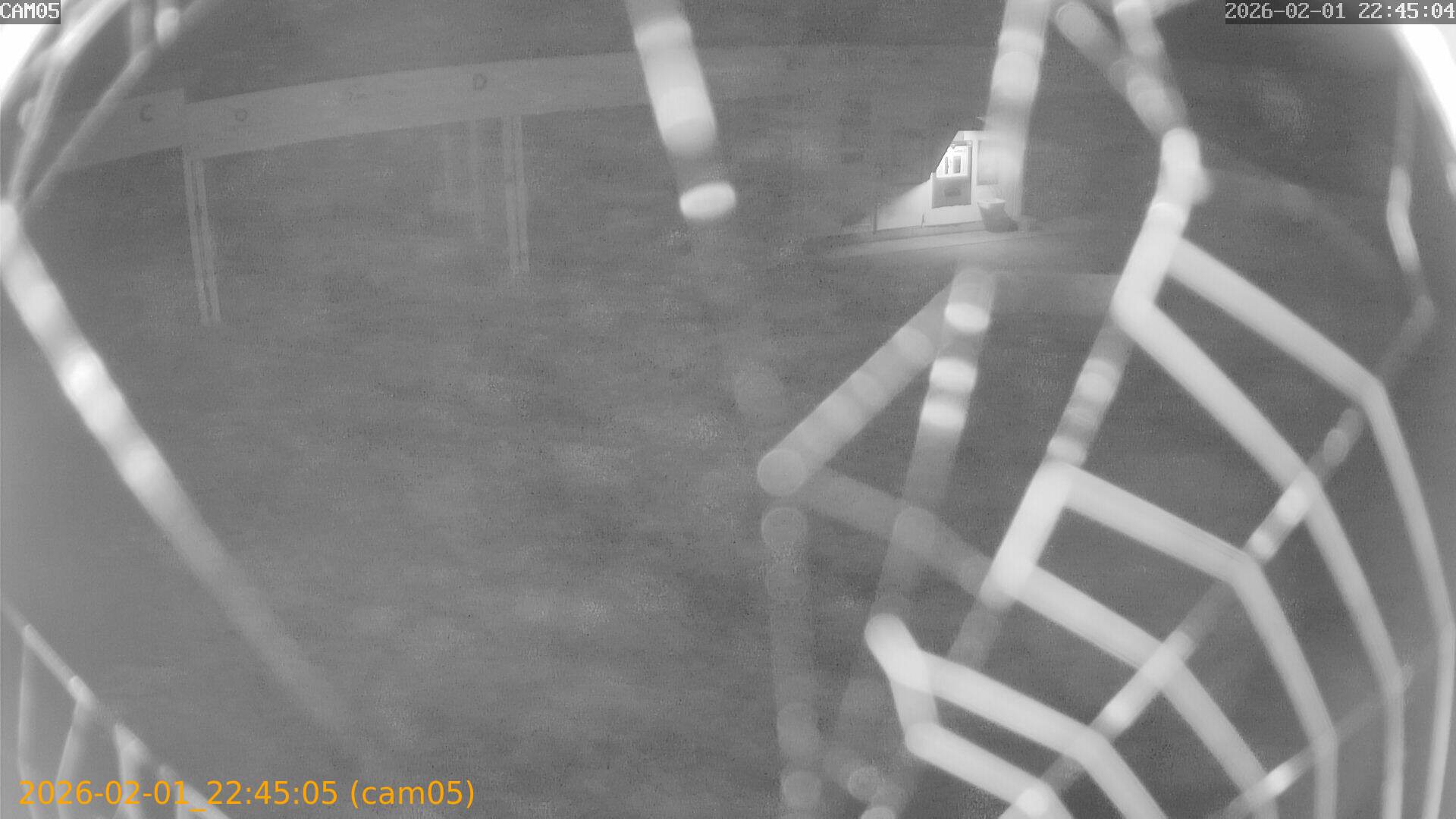 thumbnail_20260201224505