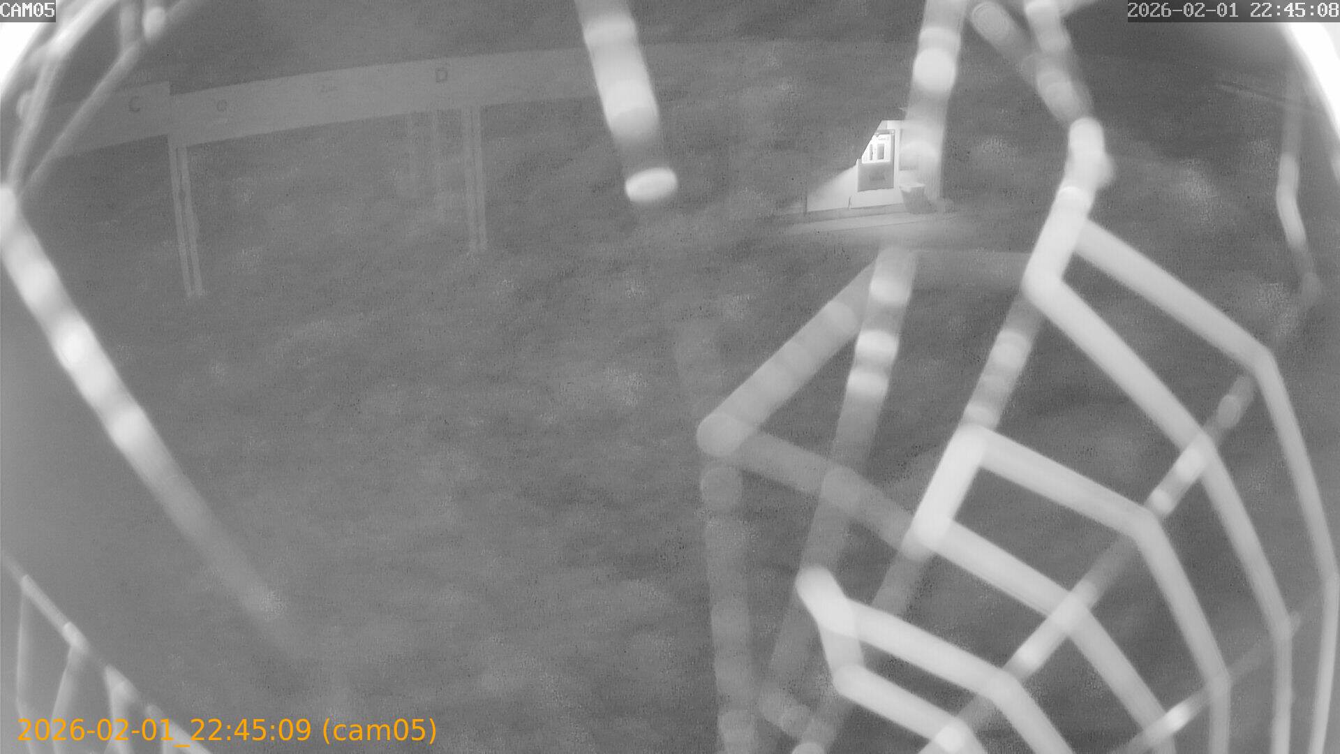 thumbnail_20260201224509