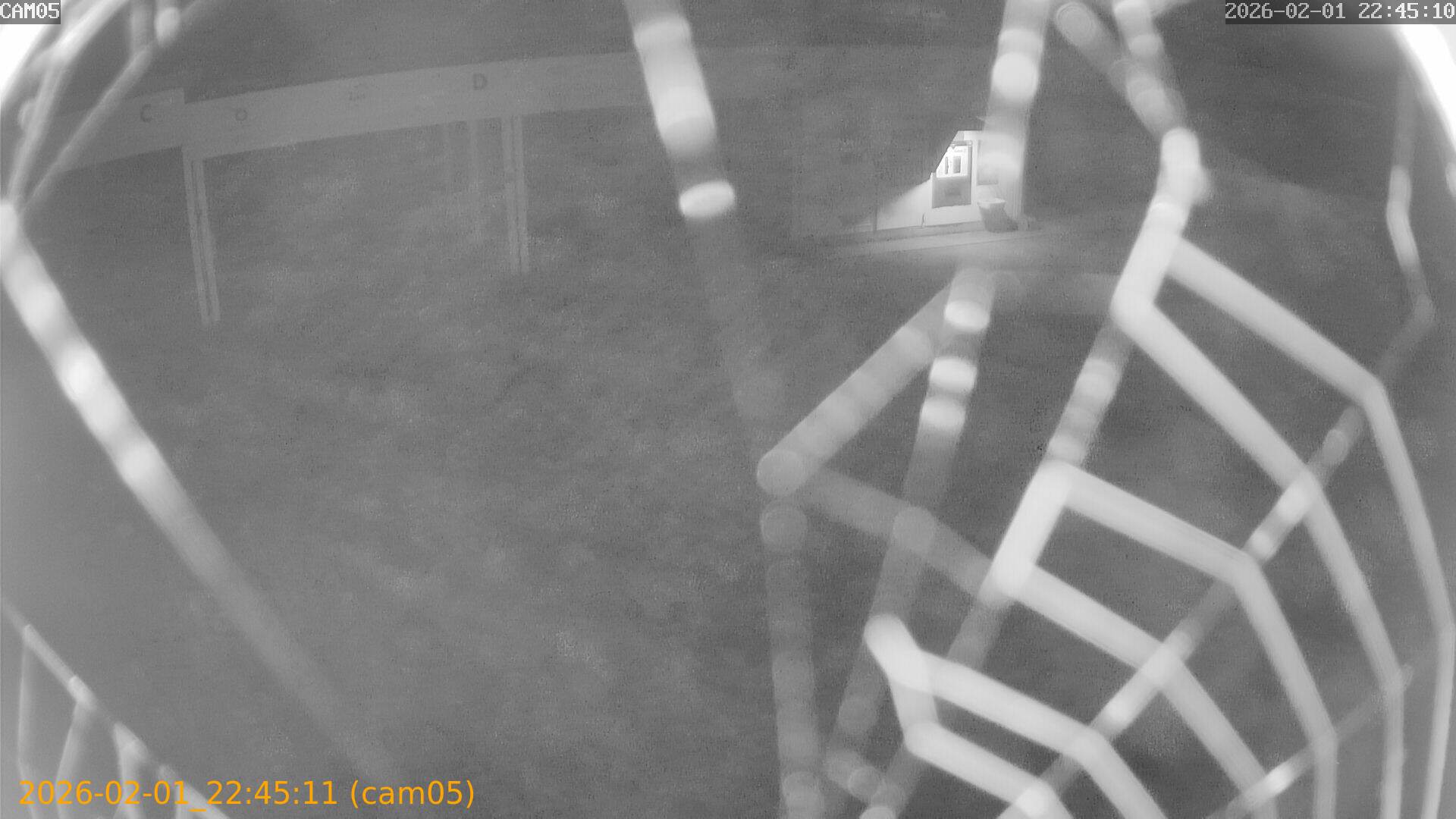 thumbnail_20260201224511